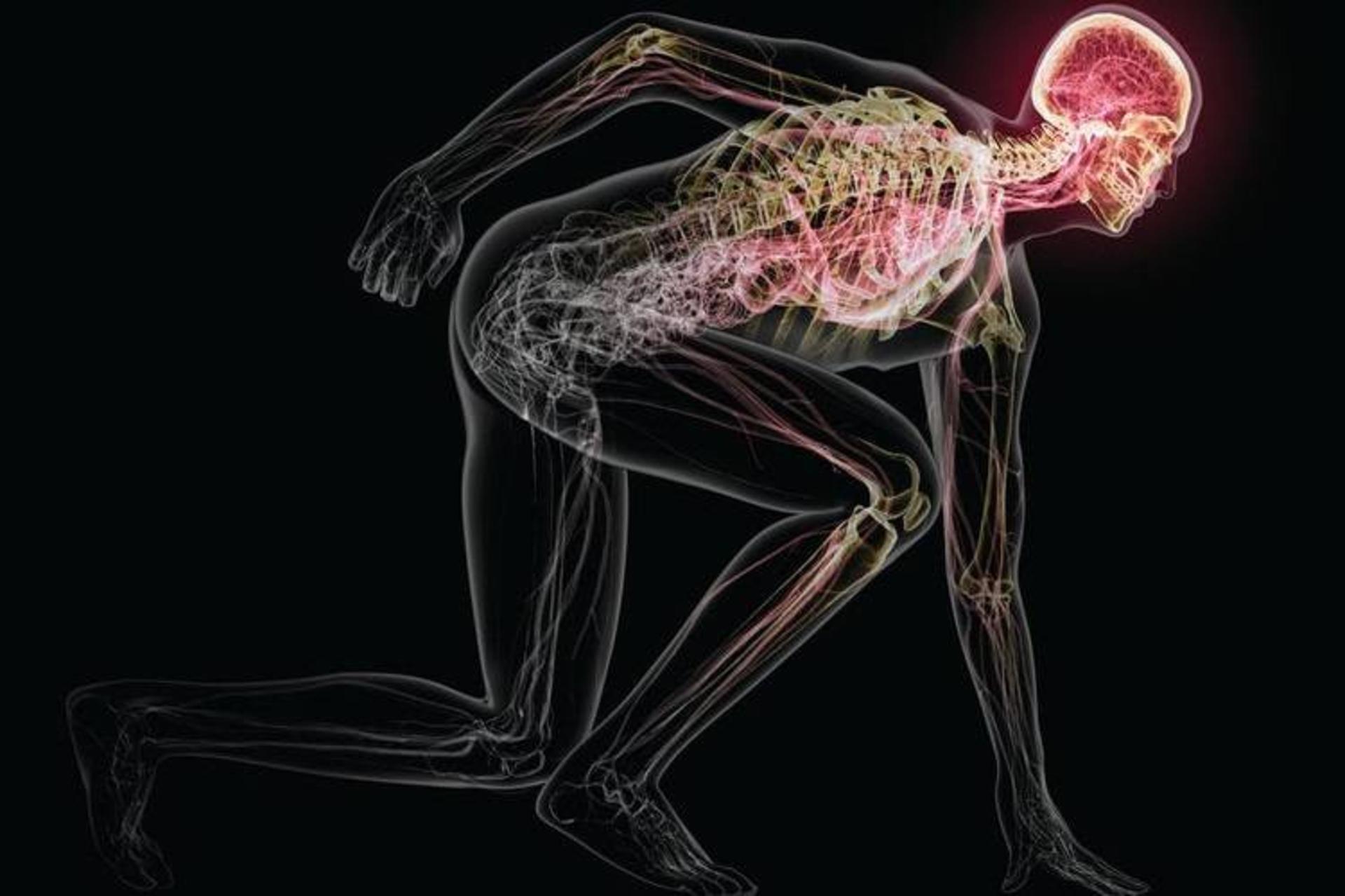 چرا مغز انسان به ورزش نیاز دارد