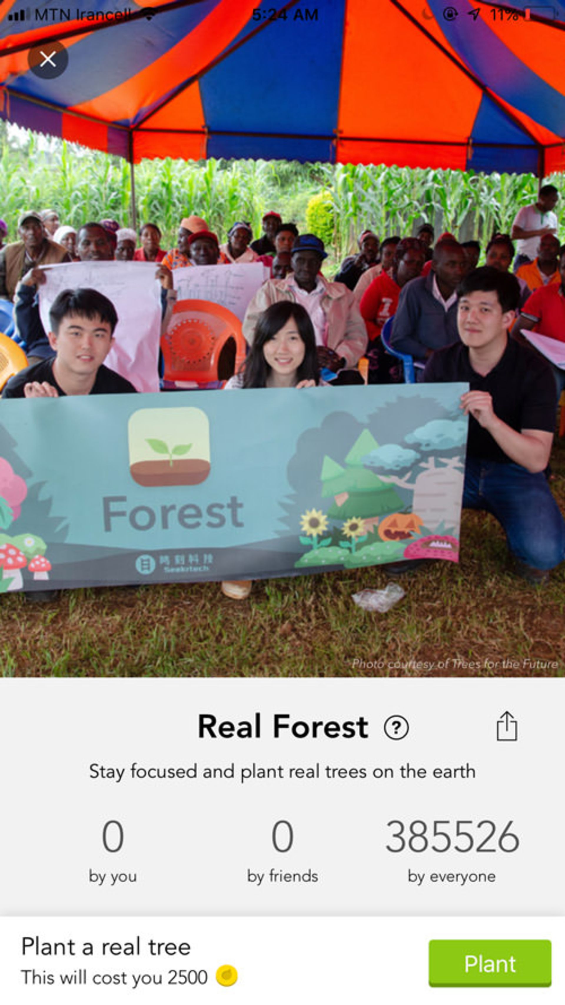 Forest