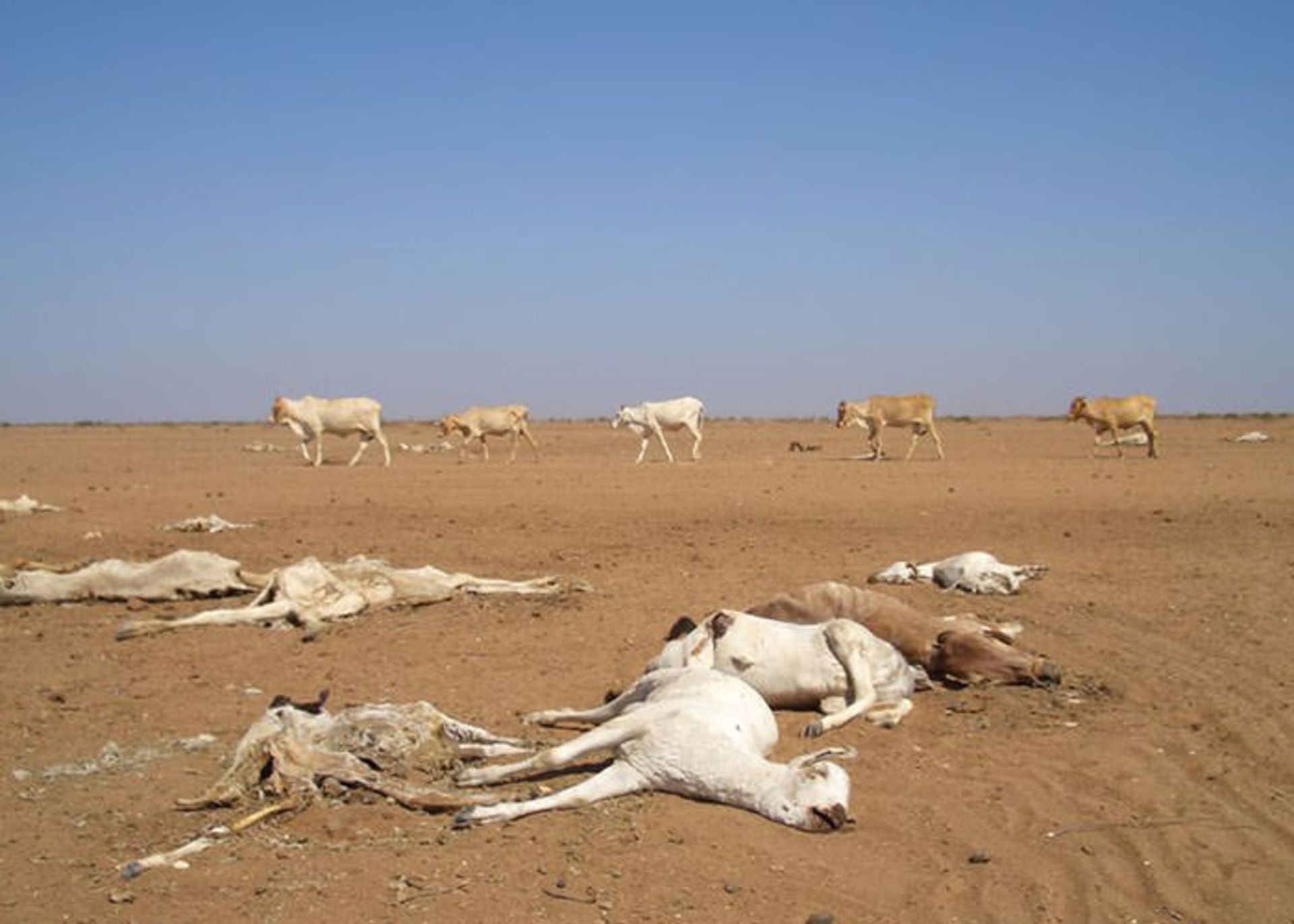 تغییرات اقلیمی