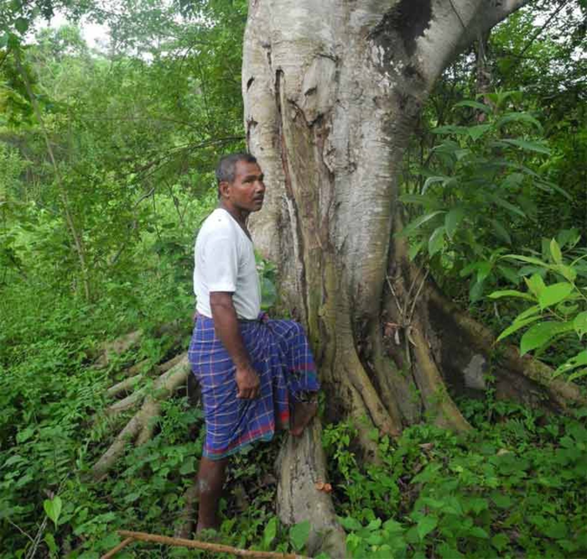 مردی که برای ۴۰ سال هر روز ۱ درخت می‌کاشت، حالا جنگلی بزرگ‌تر از پارک مرکزی نیویورک ساخته است
