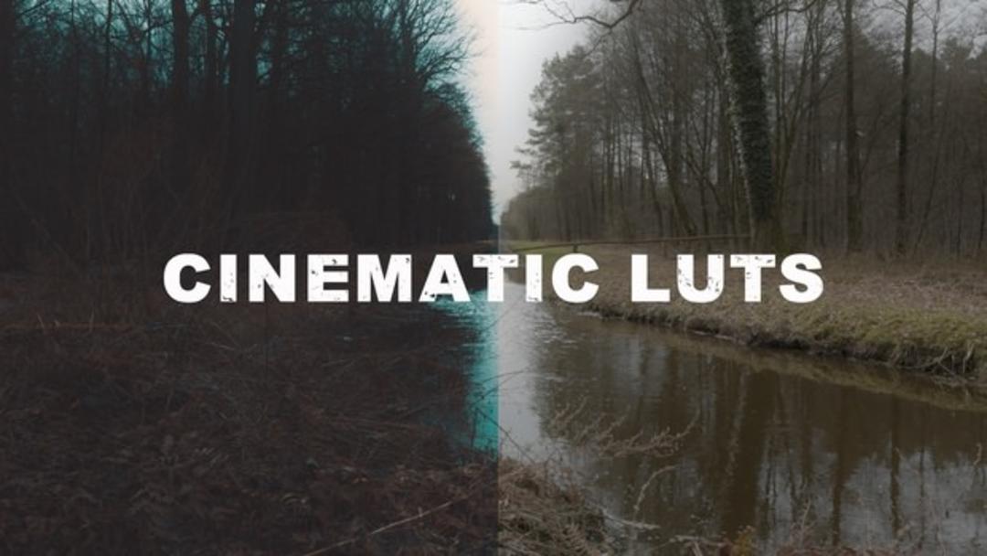 LUT