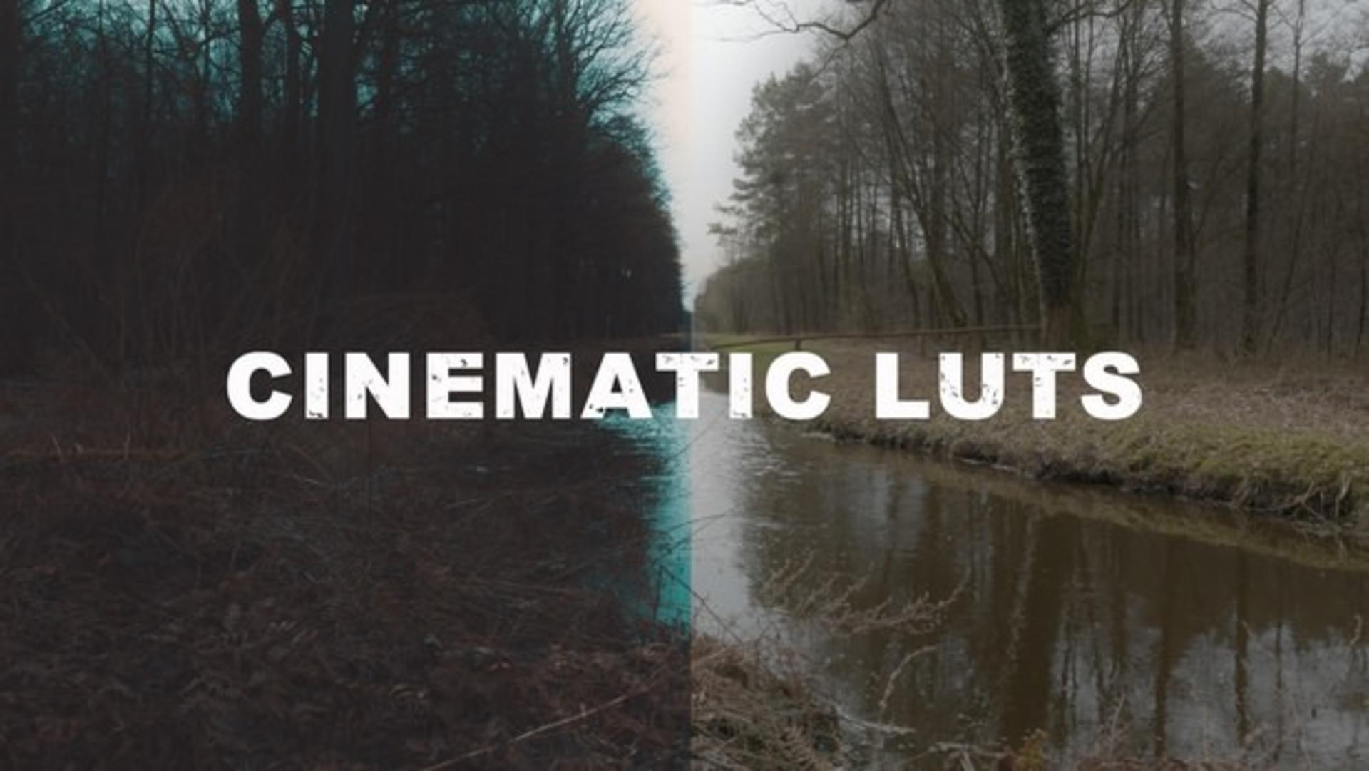 LUT