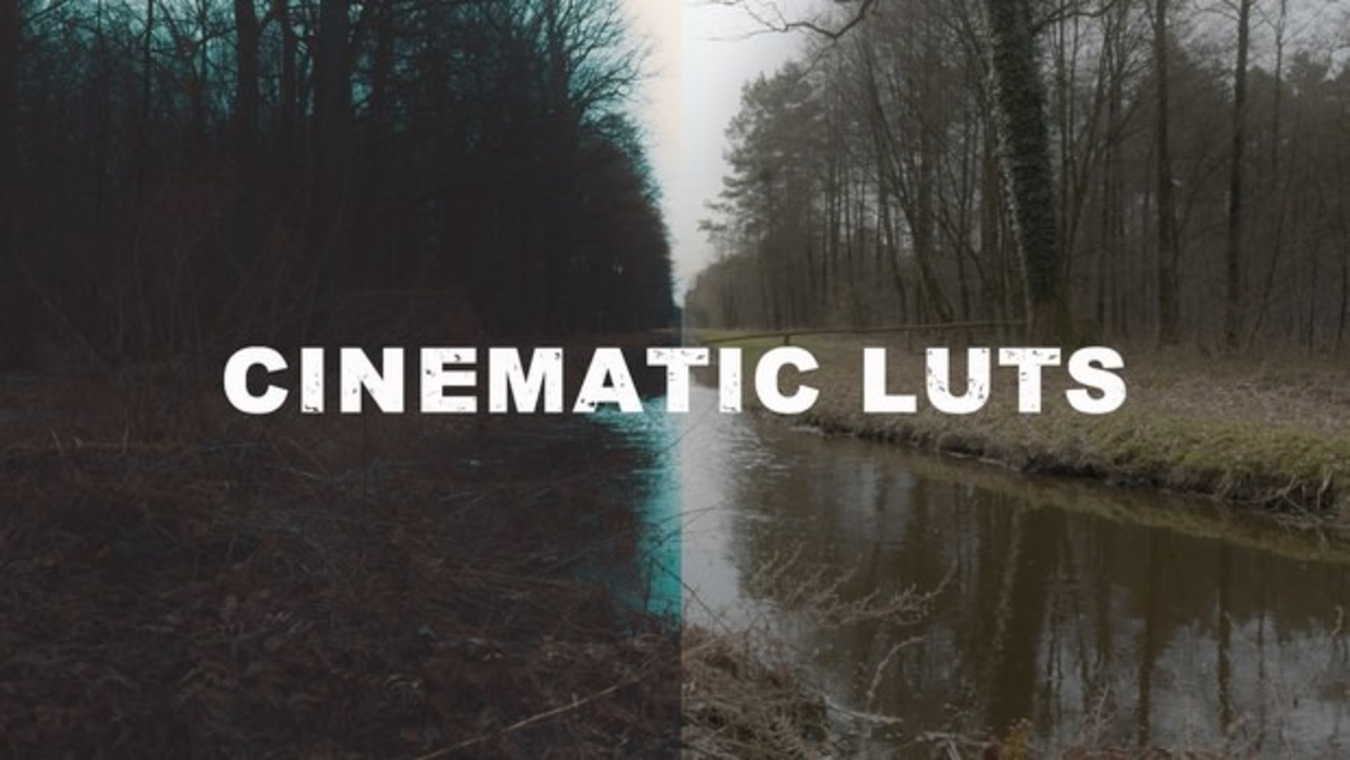 LUT