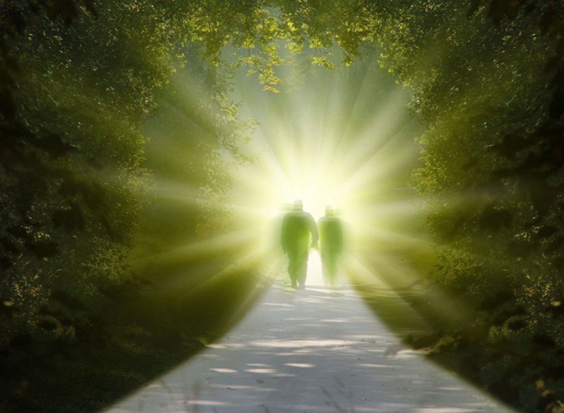 afterlife and parallel universe