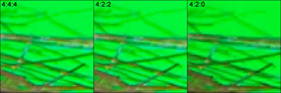 نمونه برداری رنگی Chroam Sunsampling