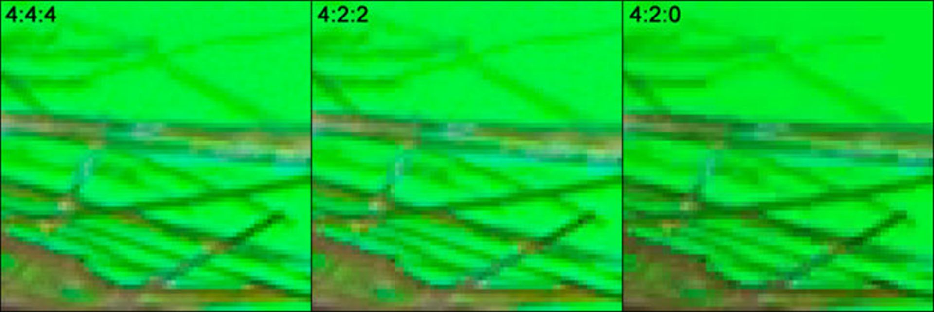نمونه برداری رنگی Chroam Sunsampling