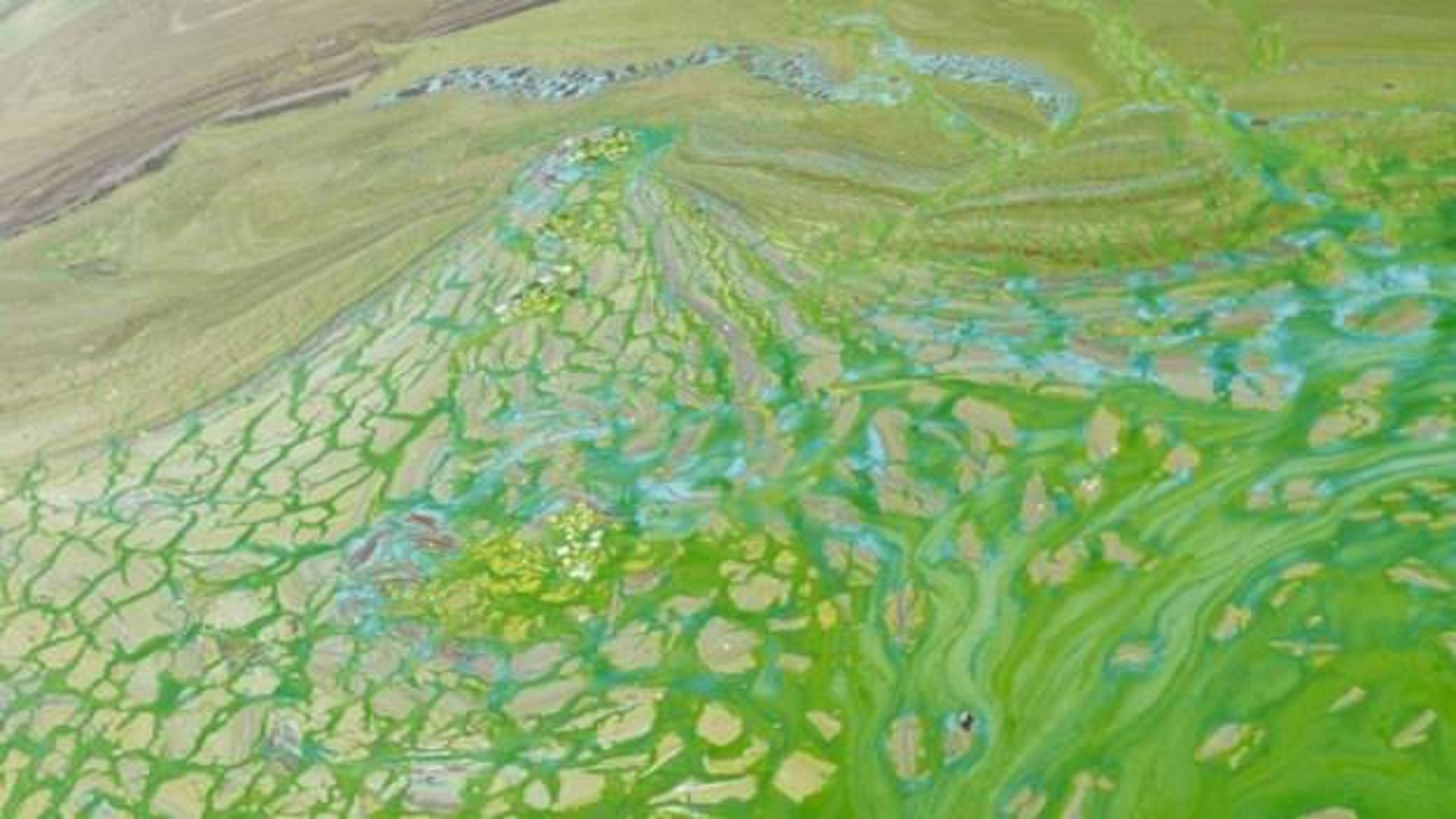  river Dnepr / رودخانه دنپر