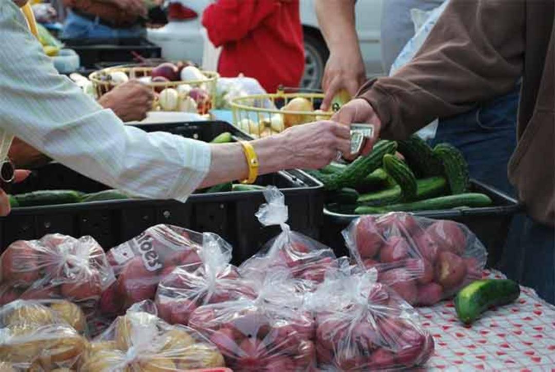 ۱۳. قانون جریمه ۵ پنی برای کیسه‌های پلاستیکی در انگلستان موجب کاهش ۳۷ درصدی ضایعات پلاستیکی شده است