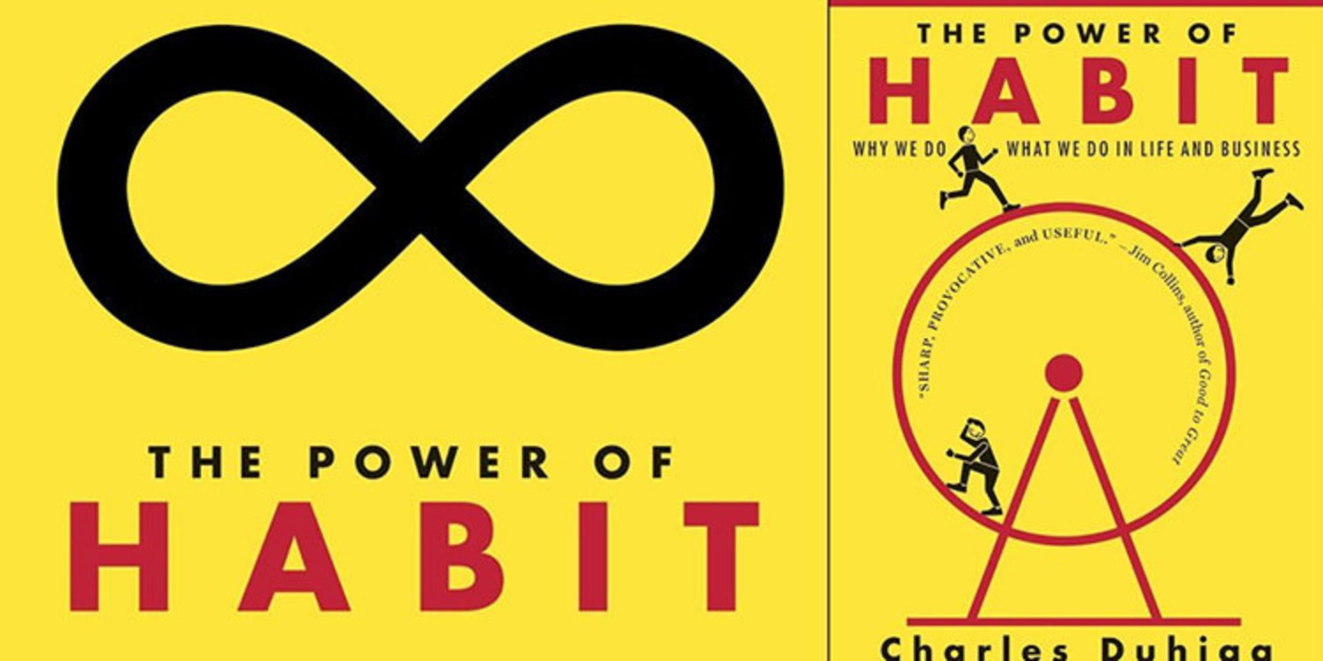 کتاب قدرت عادت/the power of habit book