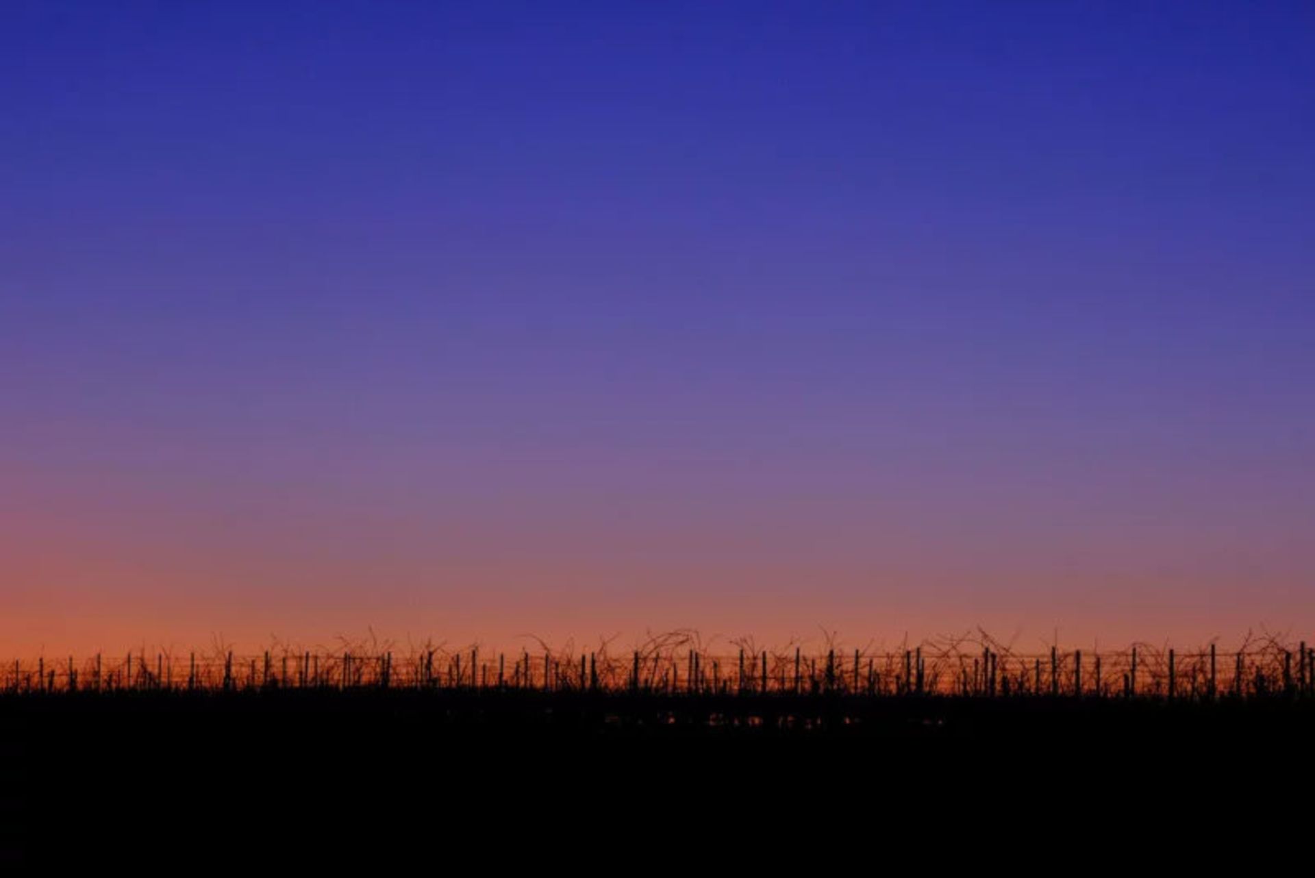 نمونه عکس دوربین فوجی فیلم X-T30