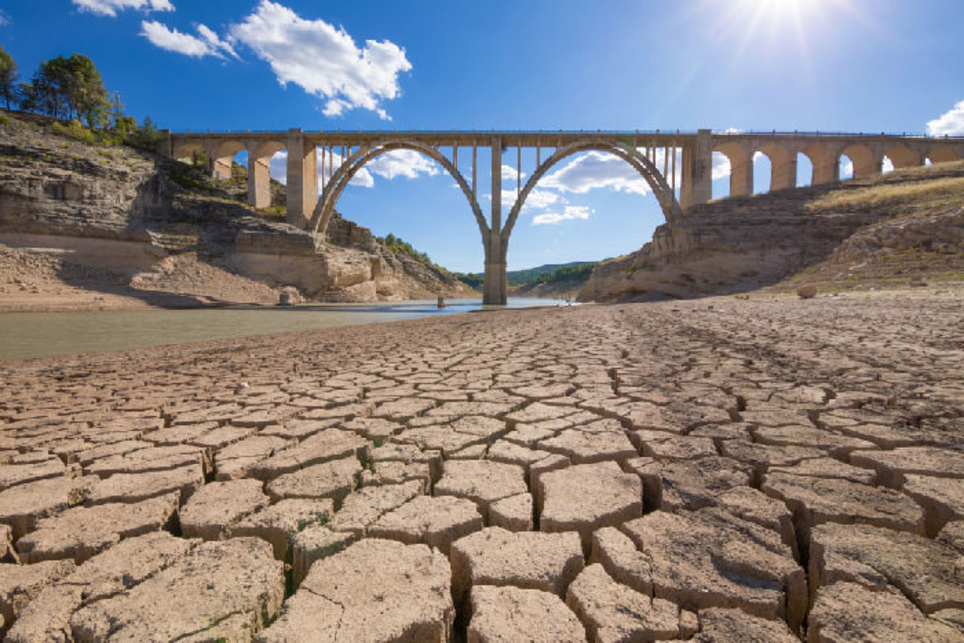 خشکسالی/ drought