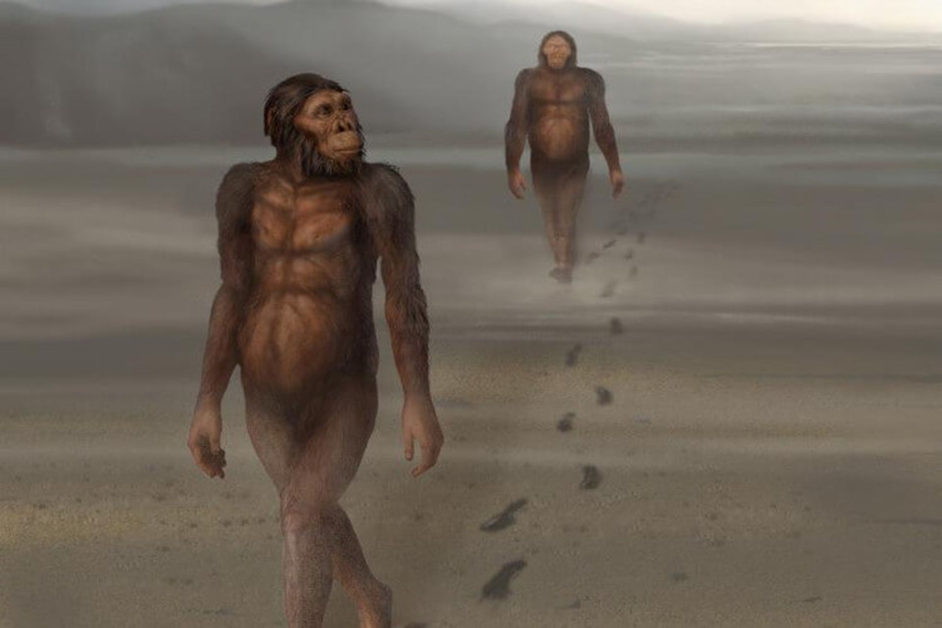 میراث بشر در فضا