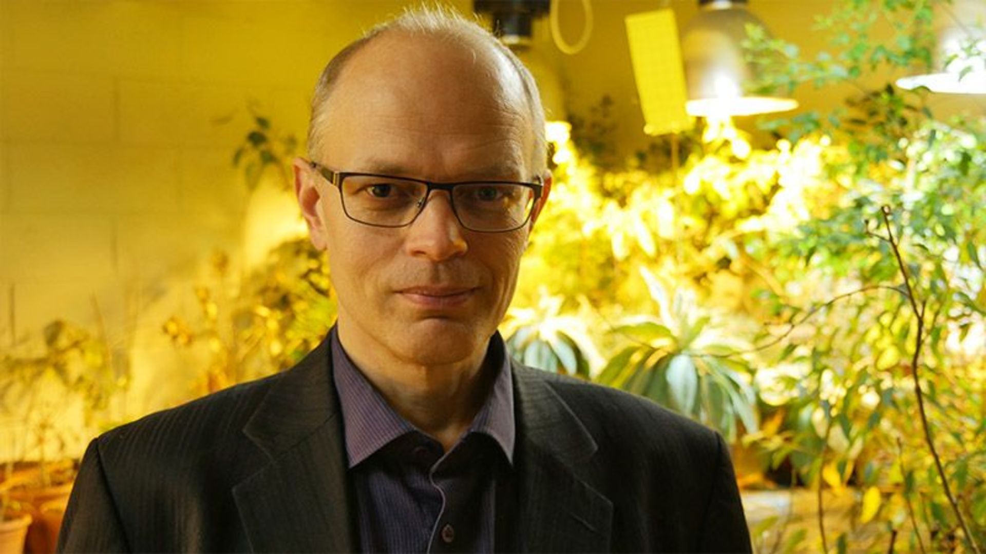 محقق استونی