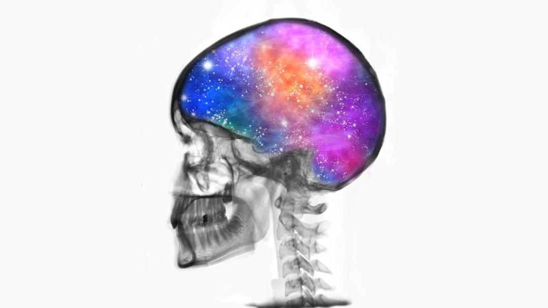 polymath