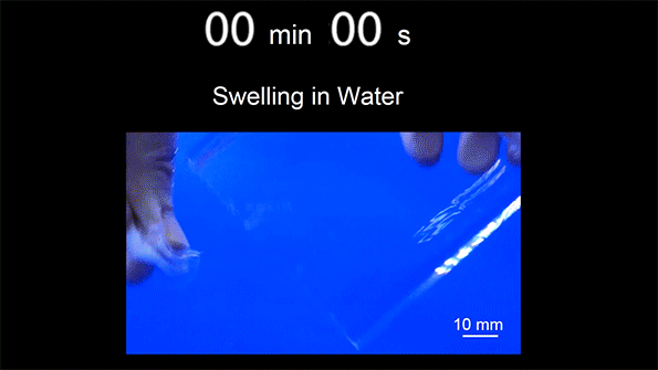 قرص هیدروژلی