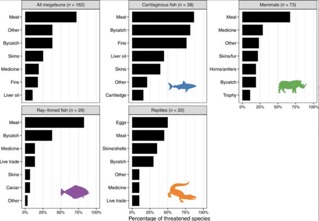 Megafauna extinction