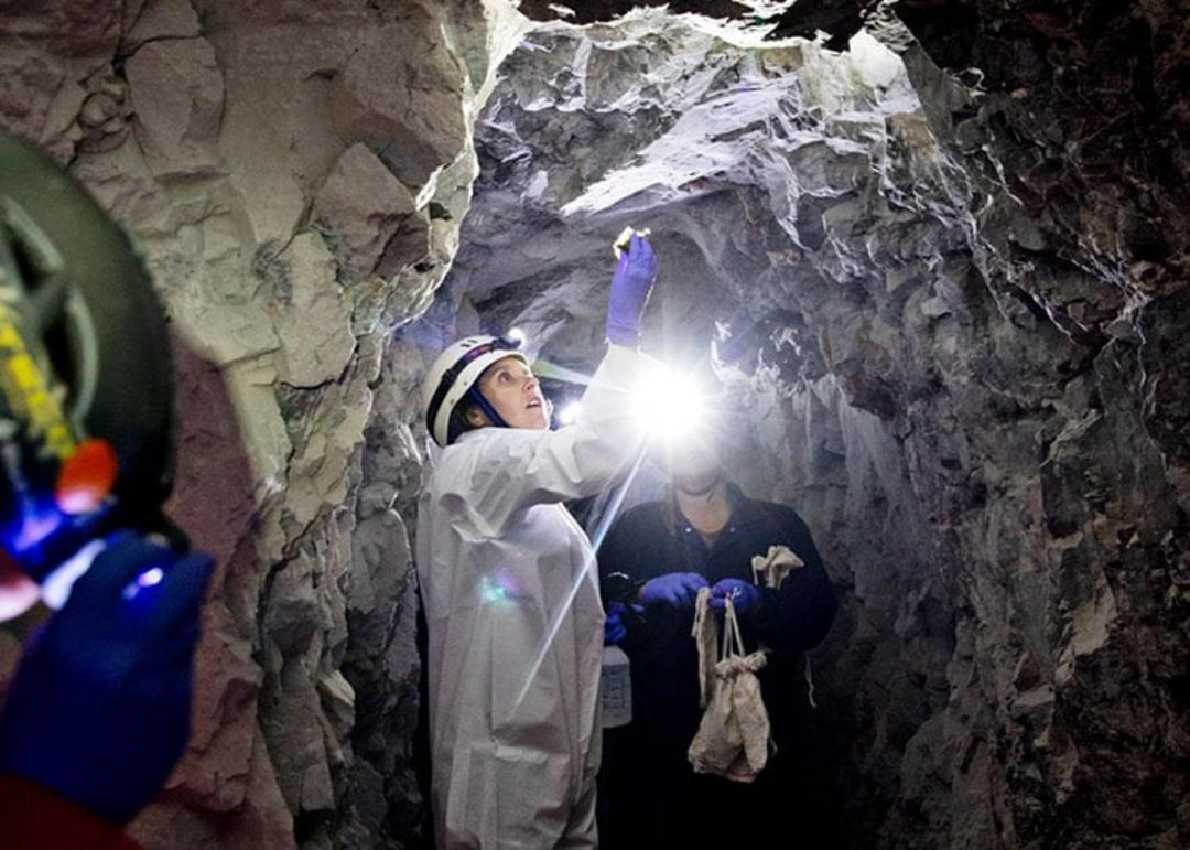 پژوهشگران