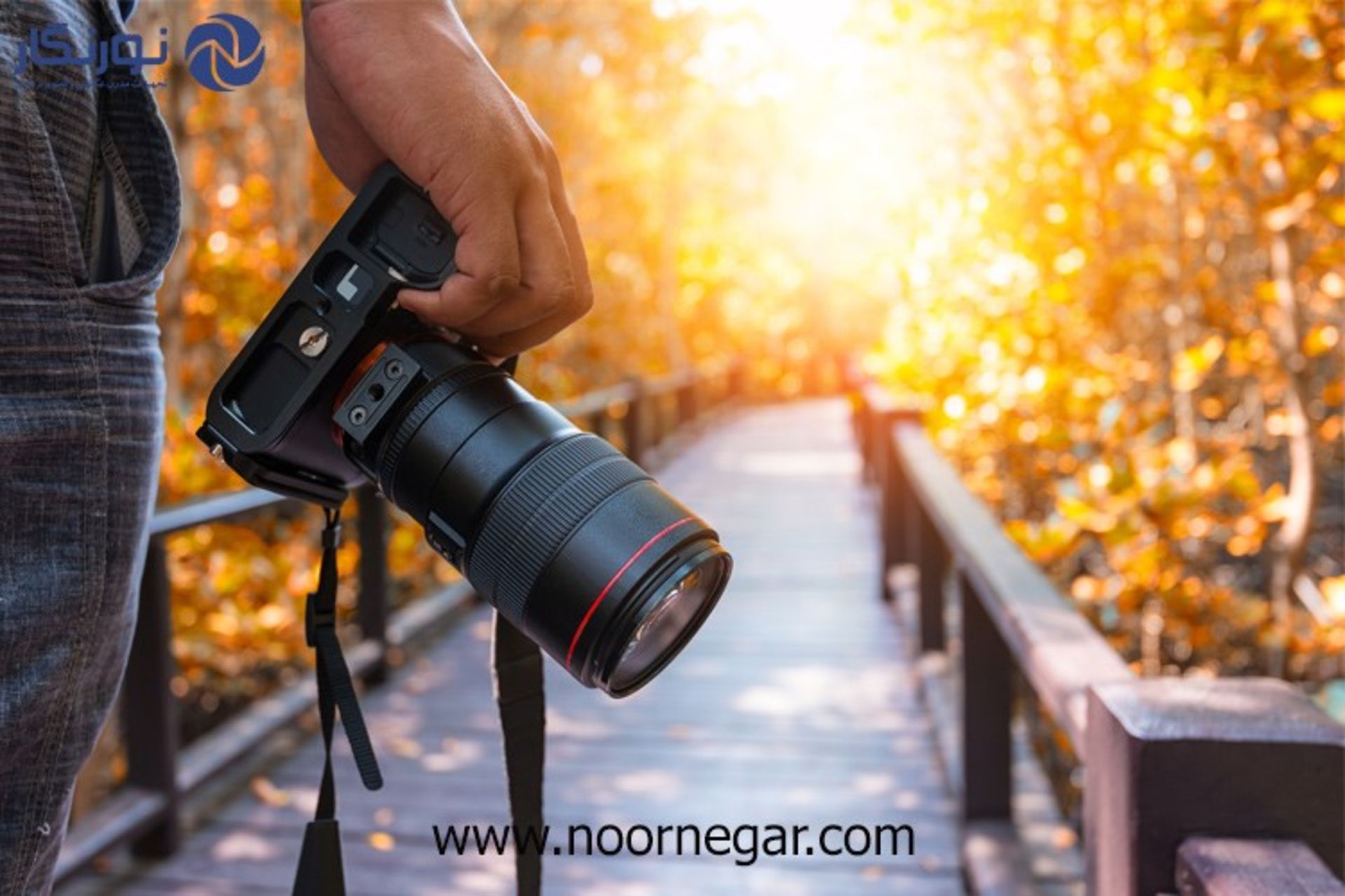 نورنگار - noornegar