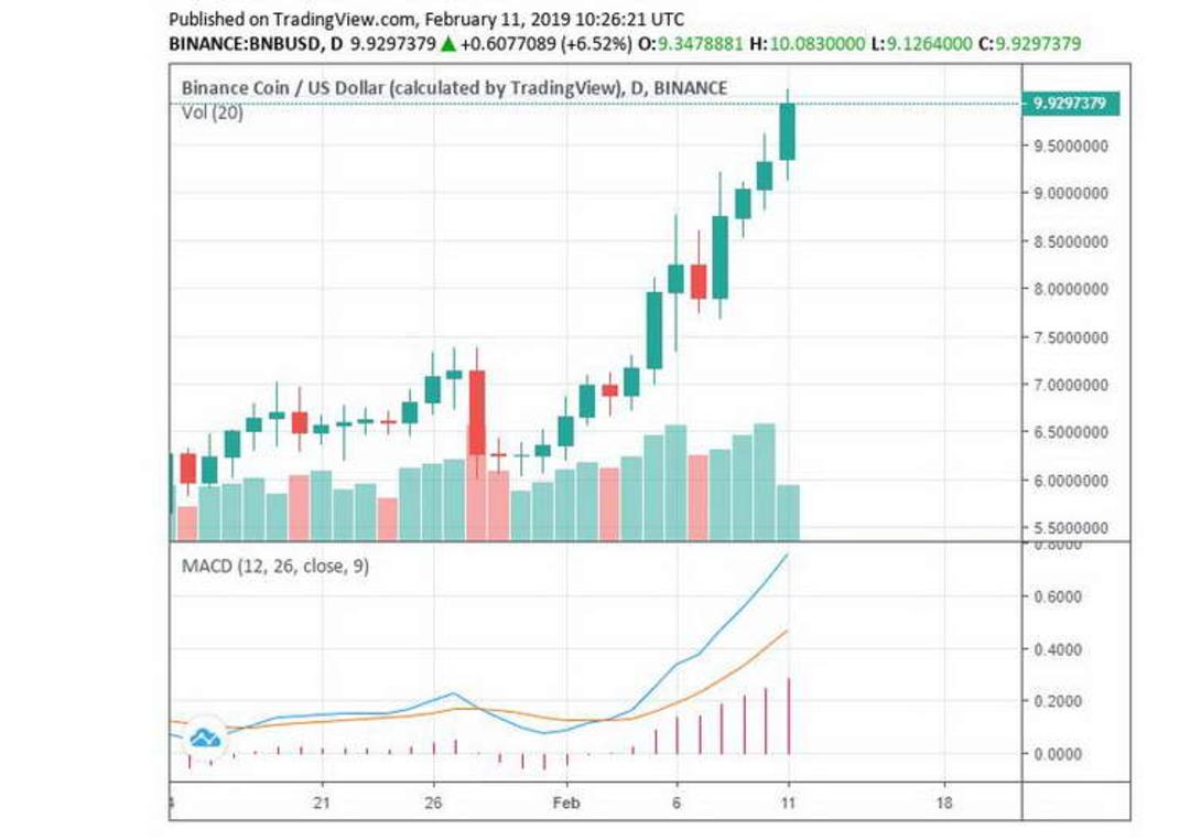 Binance burns the circulating supply of BNB
