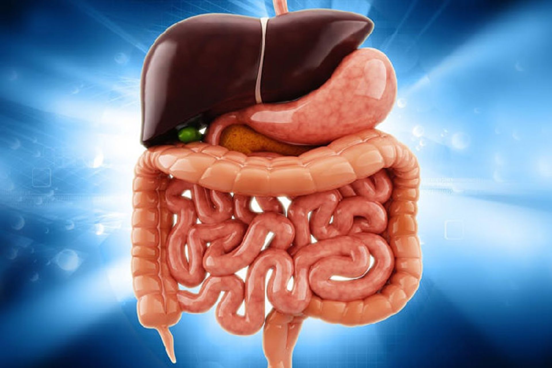 بدن/ body