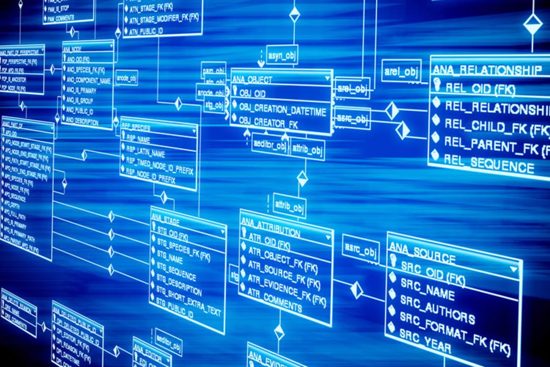 database