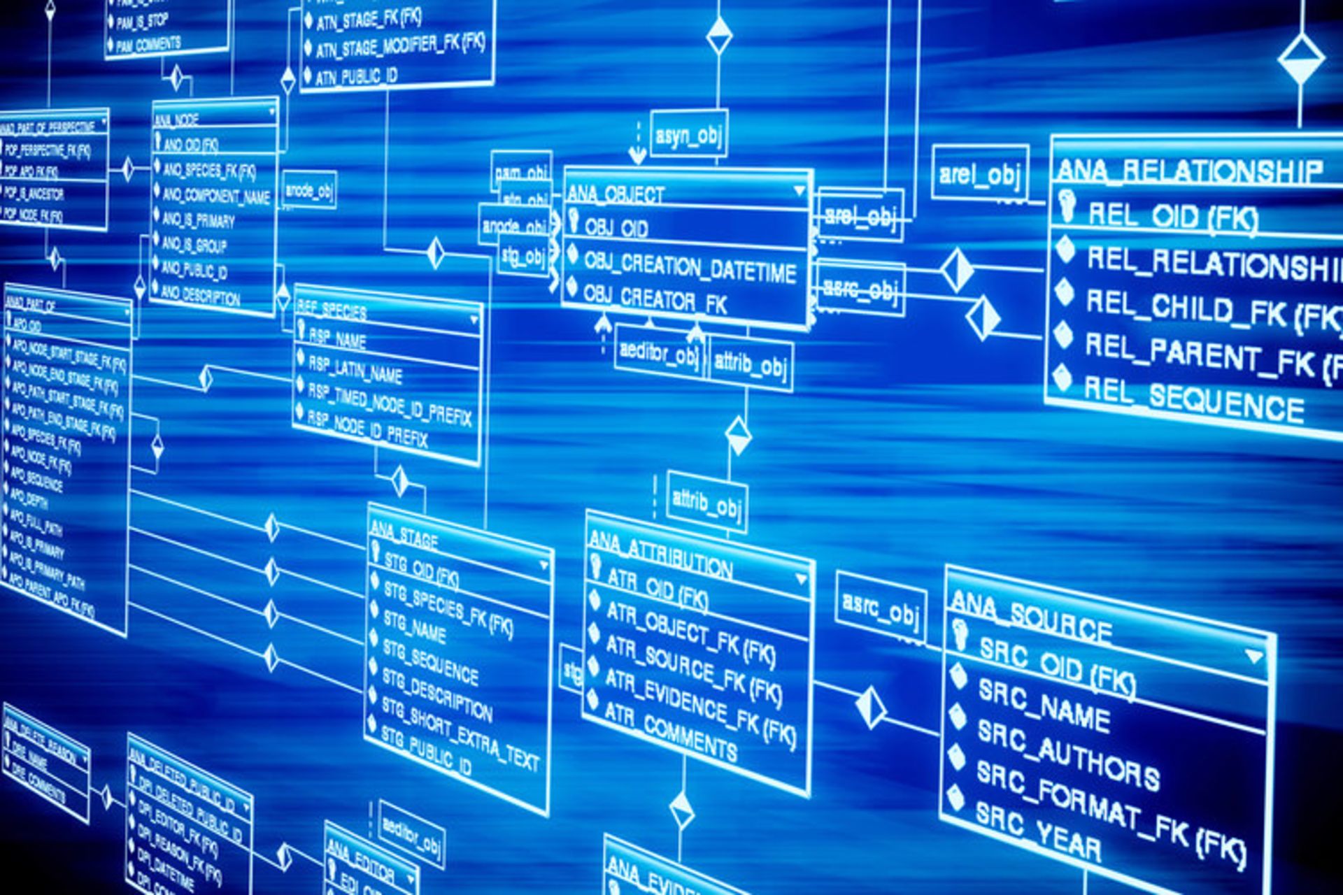 database