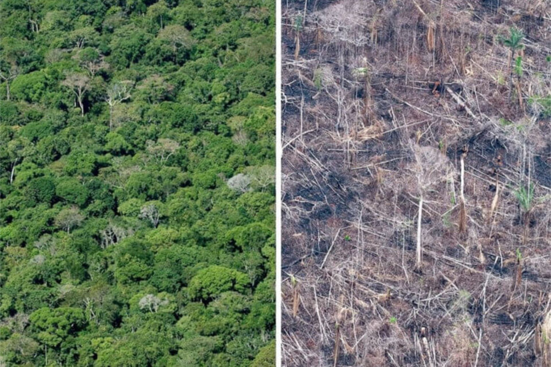 چالش جذاب عکس  ده‌ساله