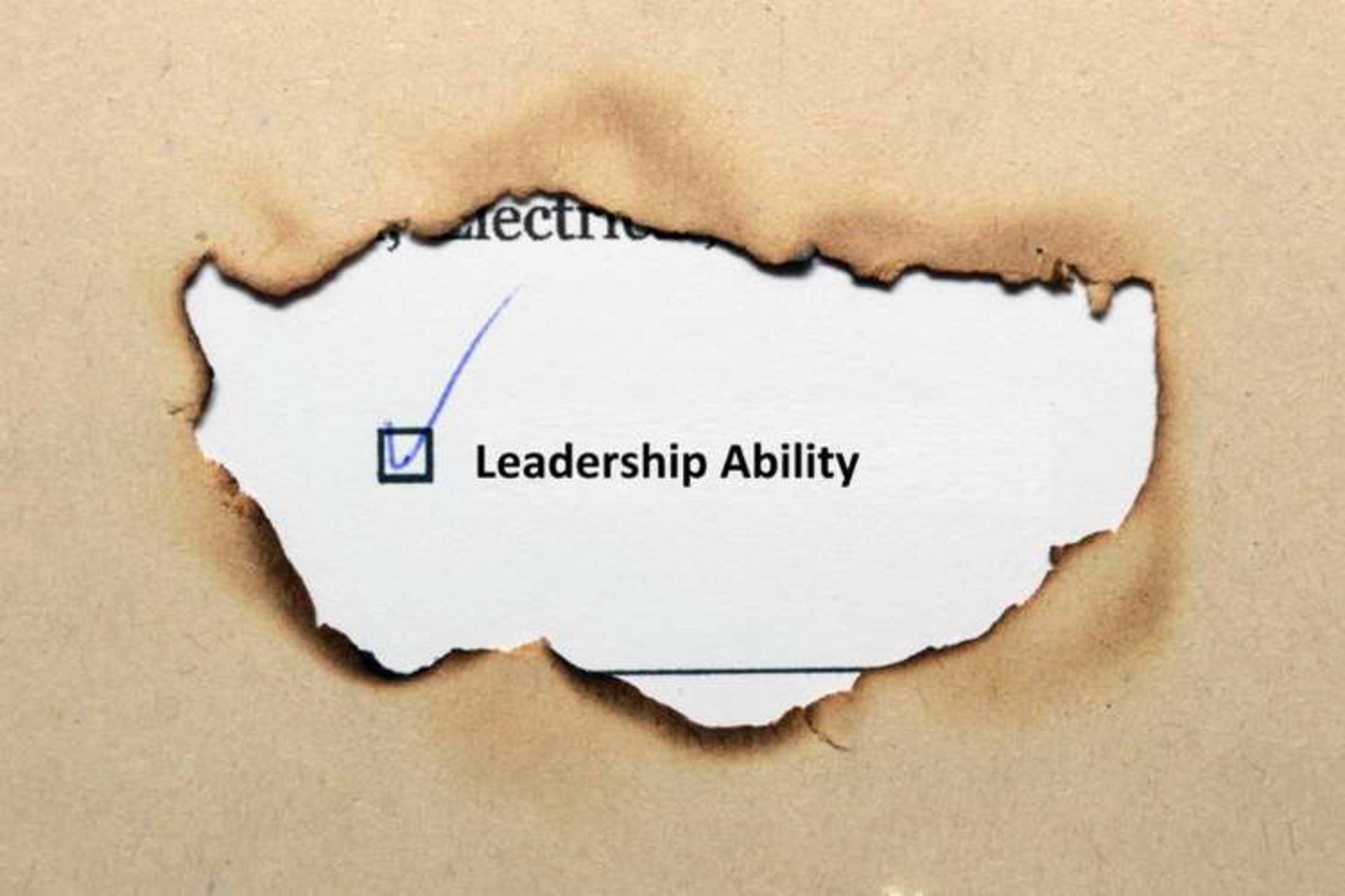 Highly Efficient Leaders 