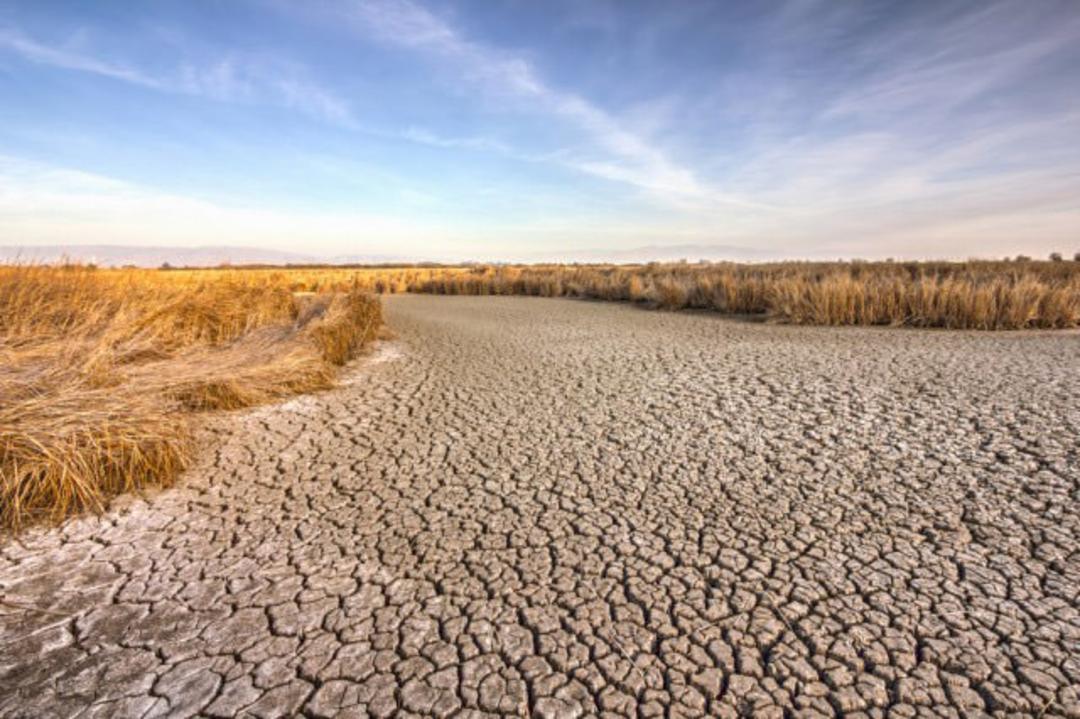 خشکسالی/ drought
