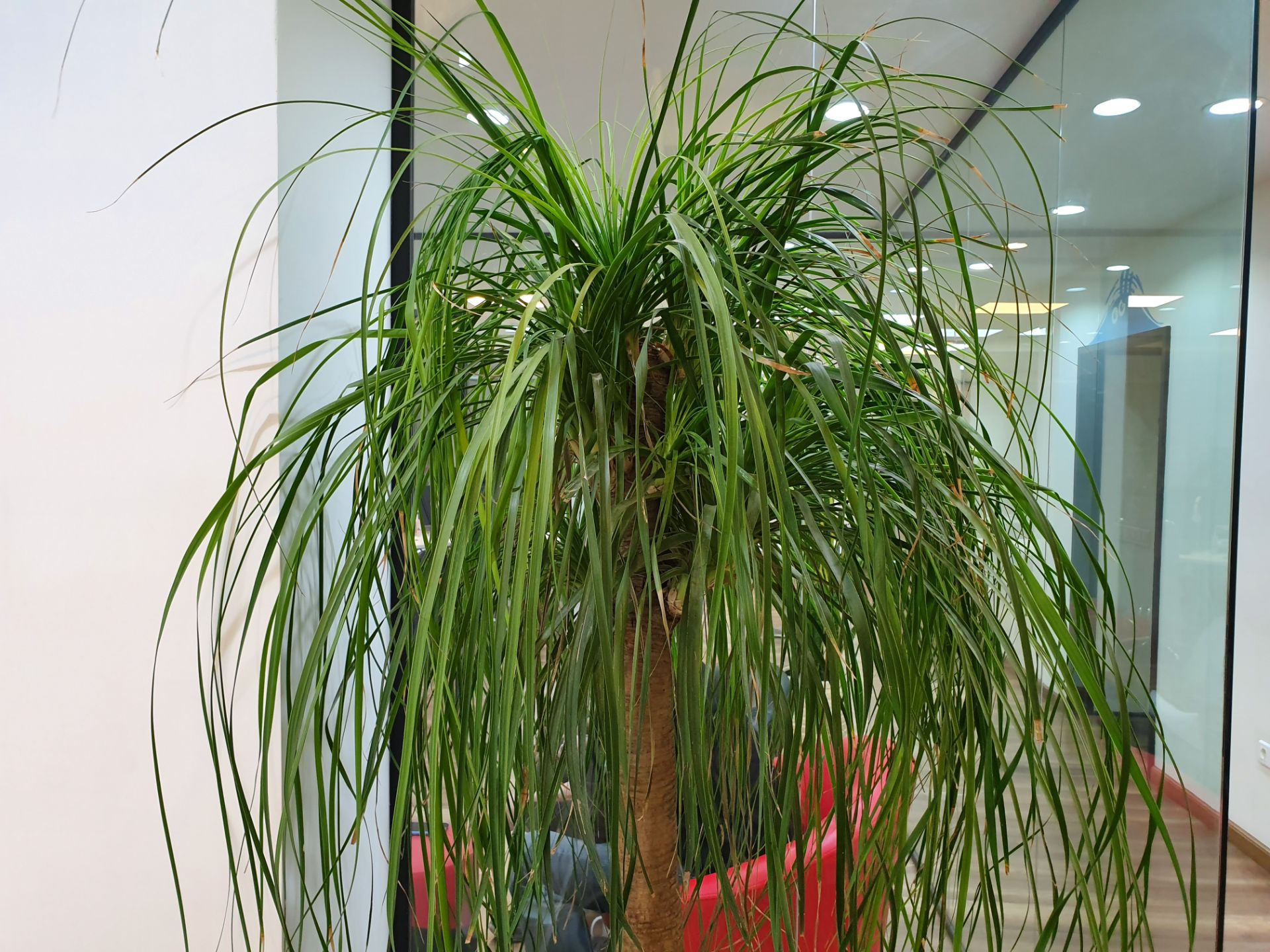 نمونه‌عکس‌های گلکسی اس ۱۰ پلاس