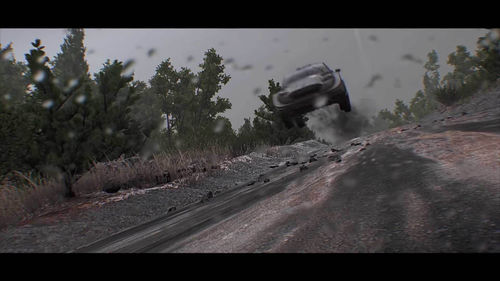 WRC 8 Game / بازی رالی قهرمانی جهان