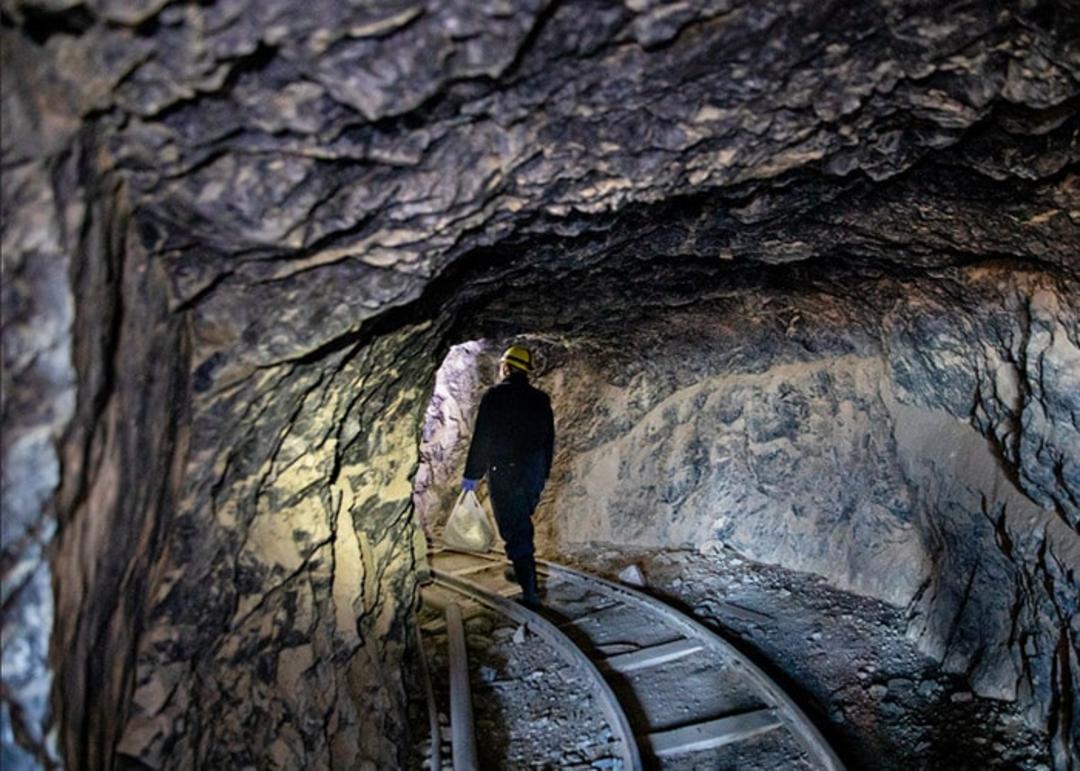 پژوهشگران