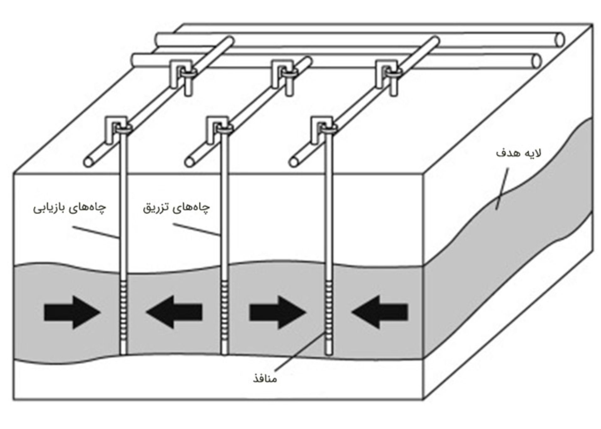 استخراج در محل