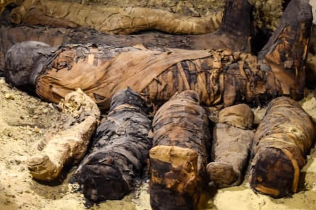 مومیائی مصری