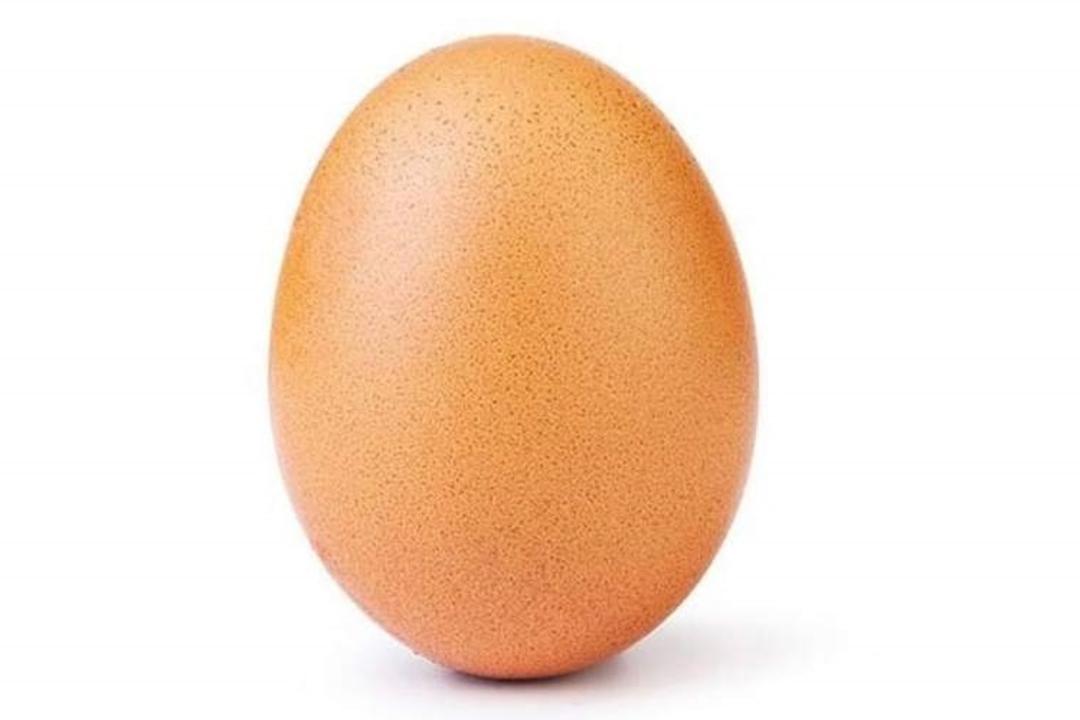 تخم مرغ اینستاگرام / Egg Gang