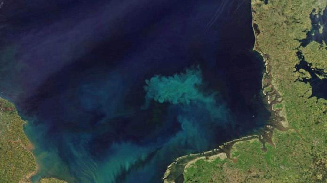 The blue ocean / اقیانوس آبی