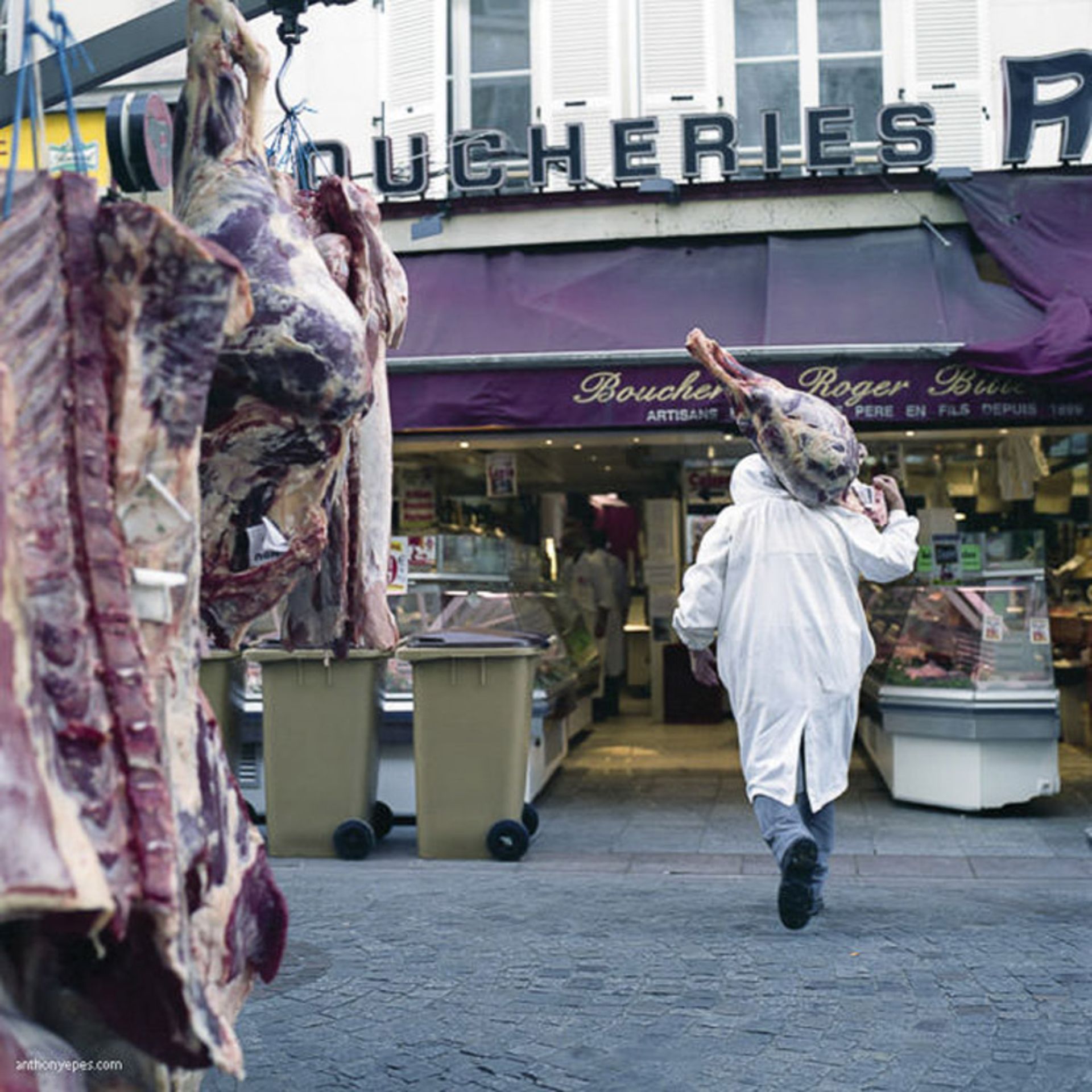 ایجاد انگیزه برای عکاسی