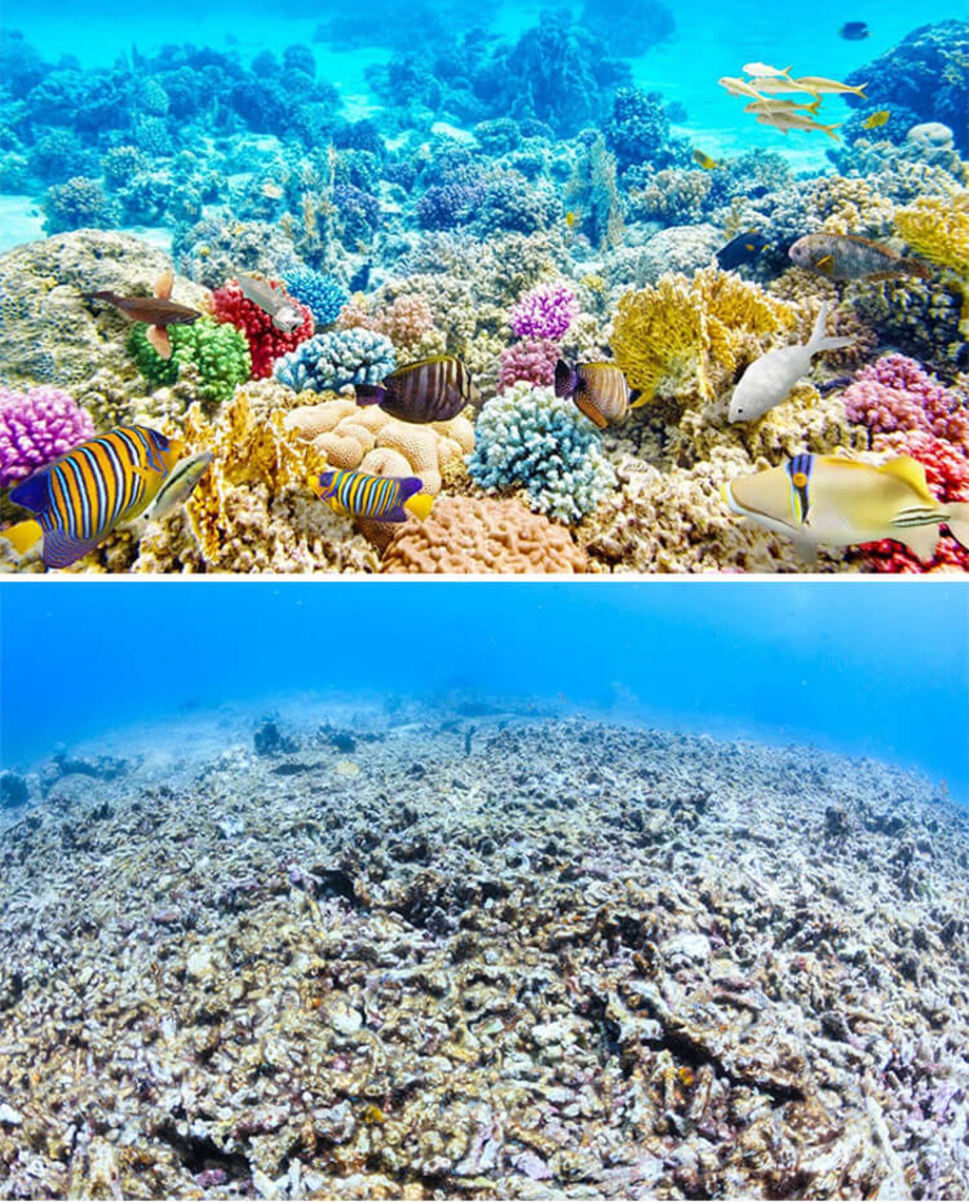 چالش جذاب عکس  ده‌ساله