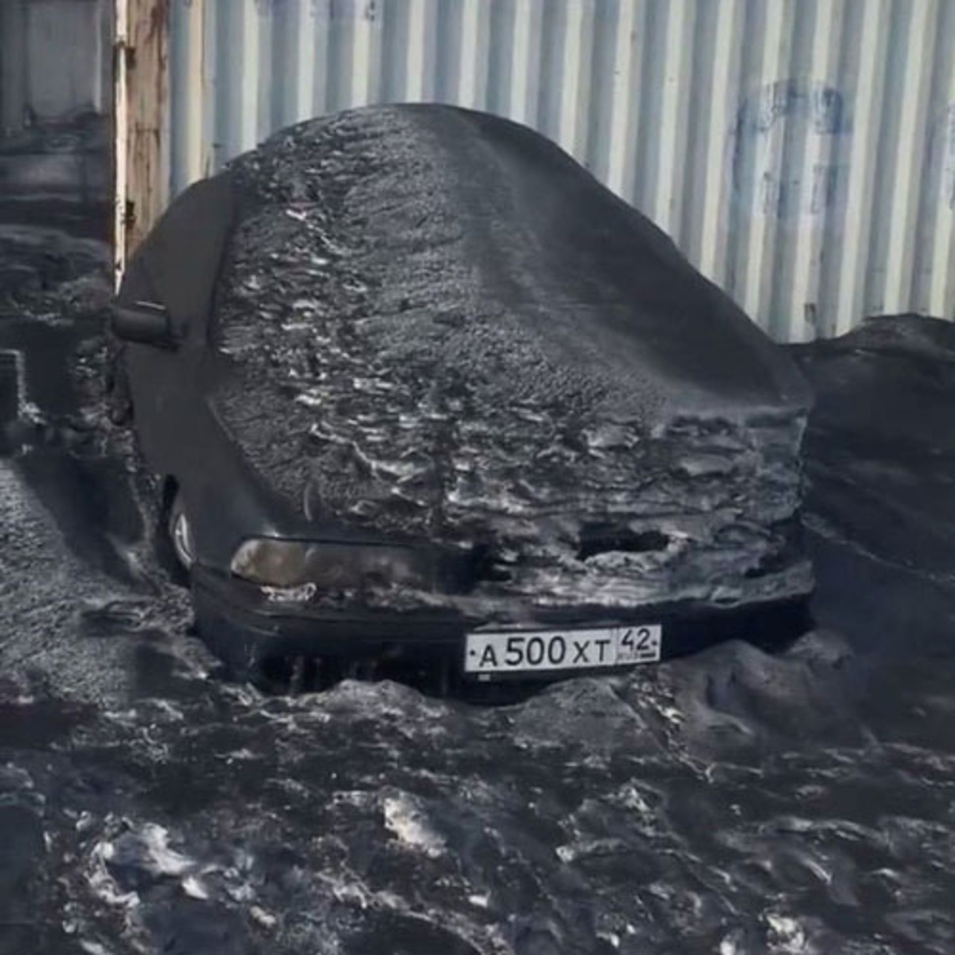 برف سیاه سیبری / black snow siberia