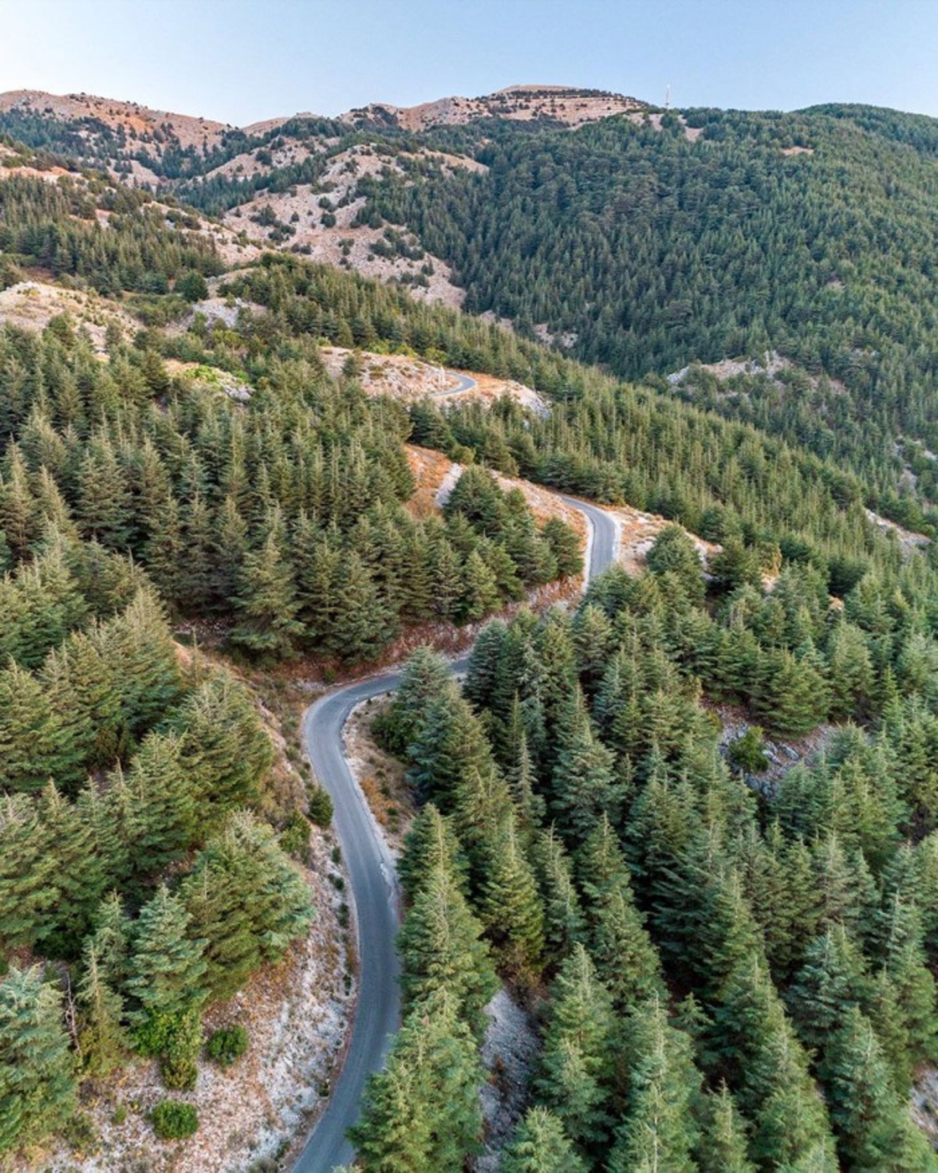تصاویر لبنان