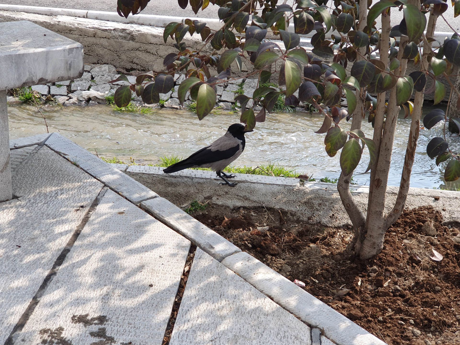 نمونه‌عکس‌های گلکسی اس ۱۰ پلاس