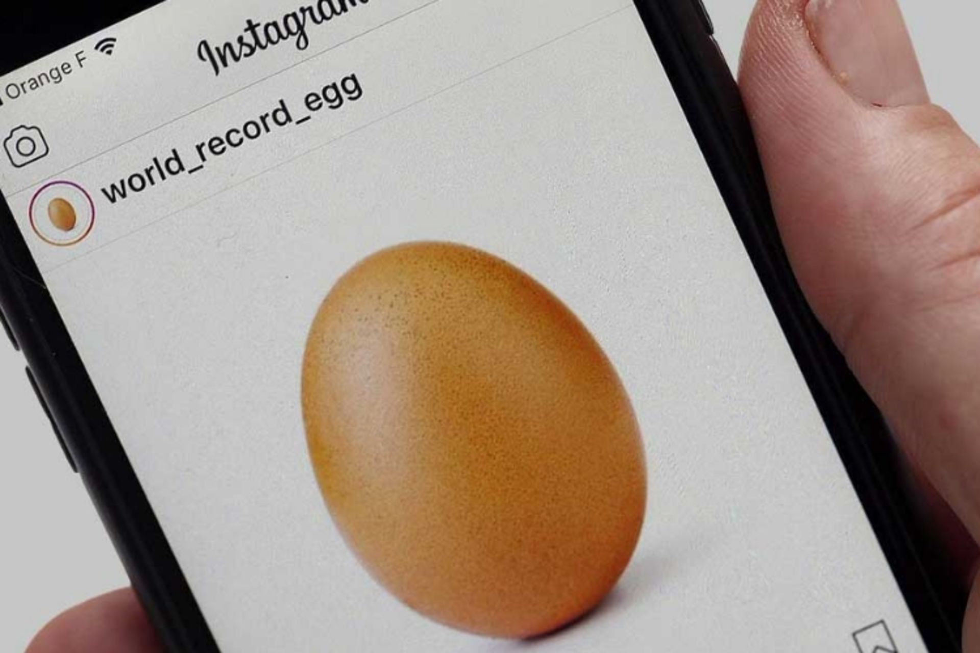 یوجین / Eugene / تخم مرغ اینستاگرام