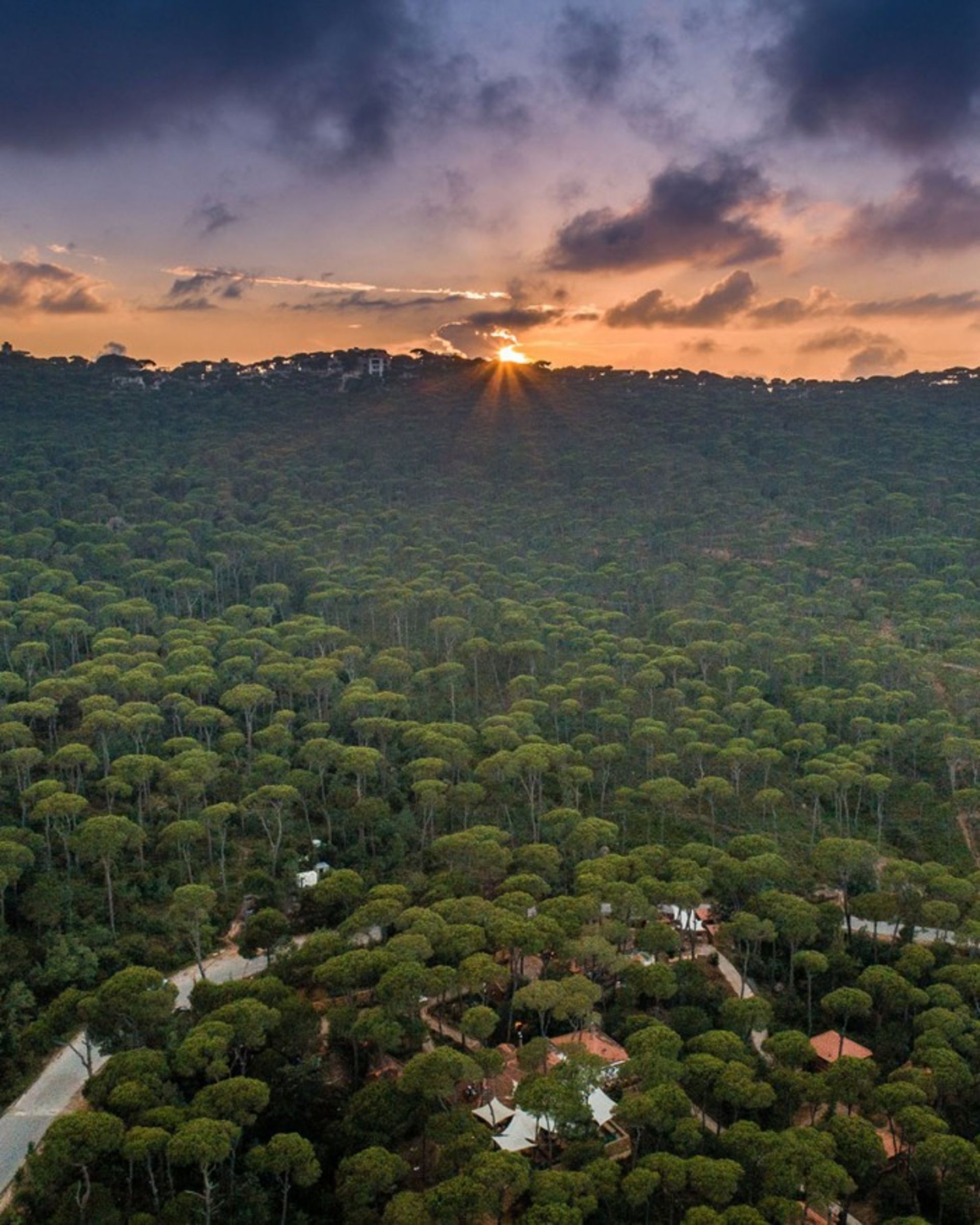 تصاویر لبنان