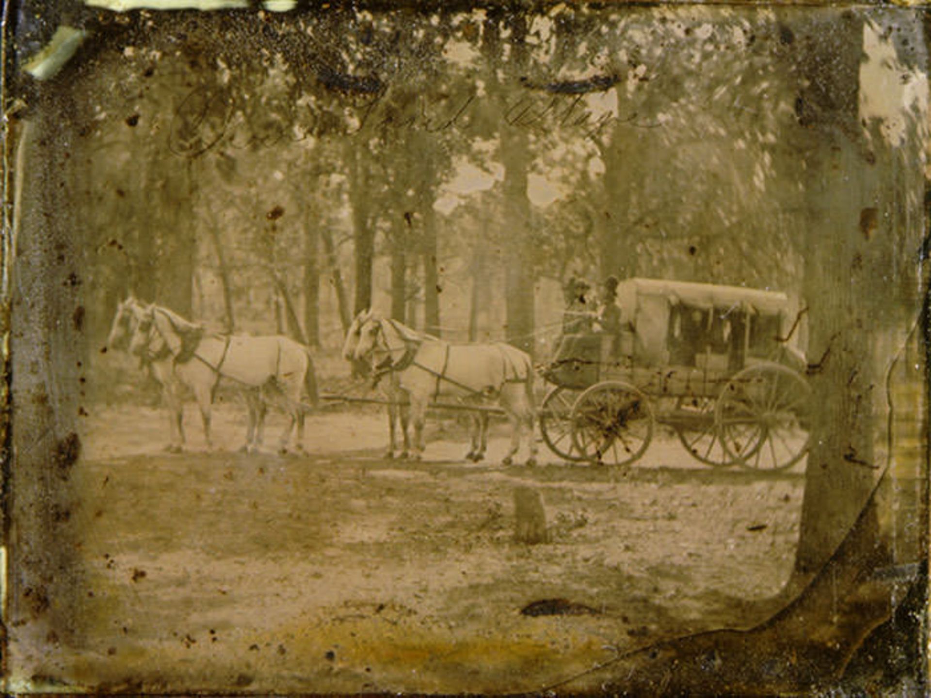 ولز فارگو / Wells Fargo