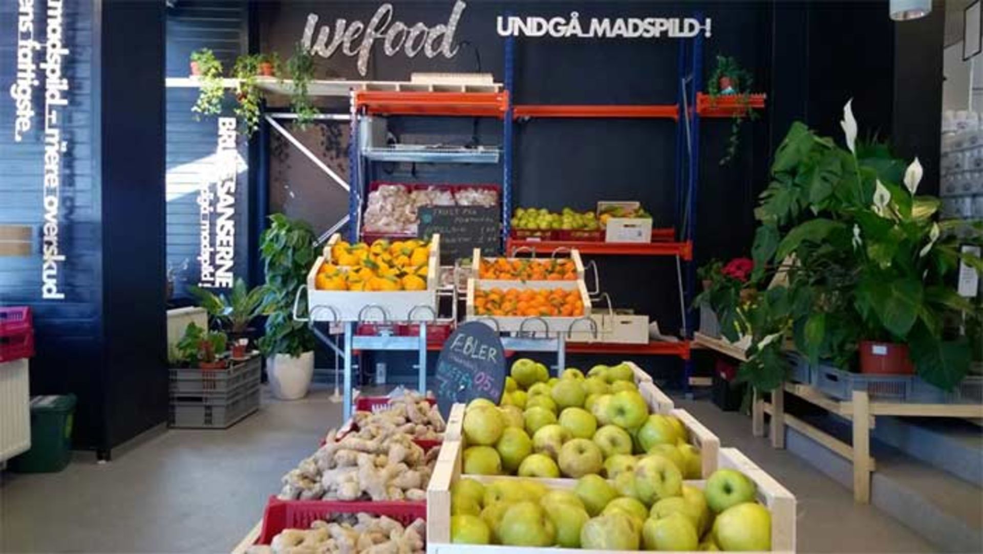 ۱۰. سوپرمارکتی در کپنهاگ دانمارک غذاهای دور ریختنی را می‌فروشد