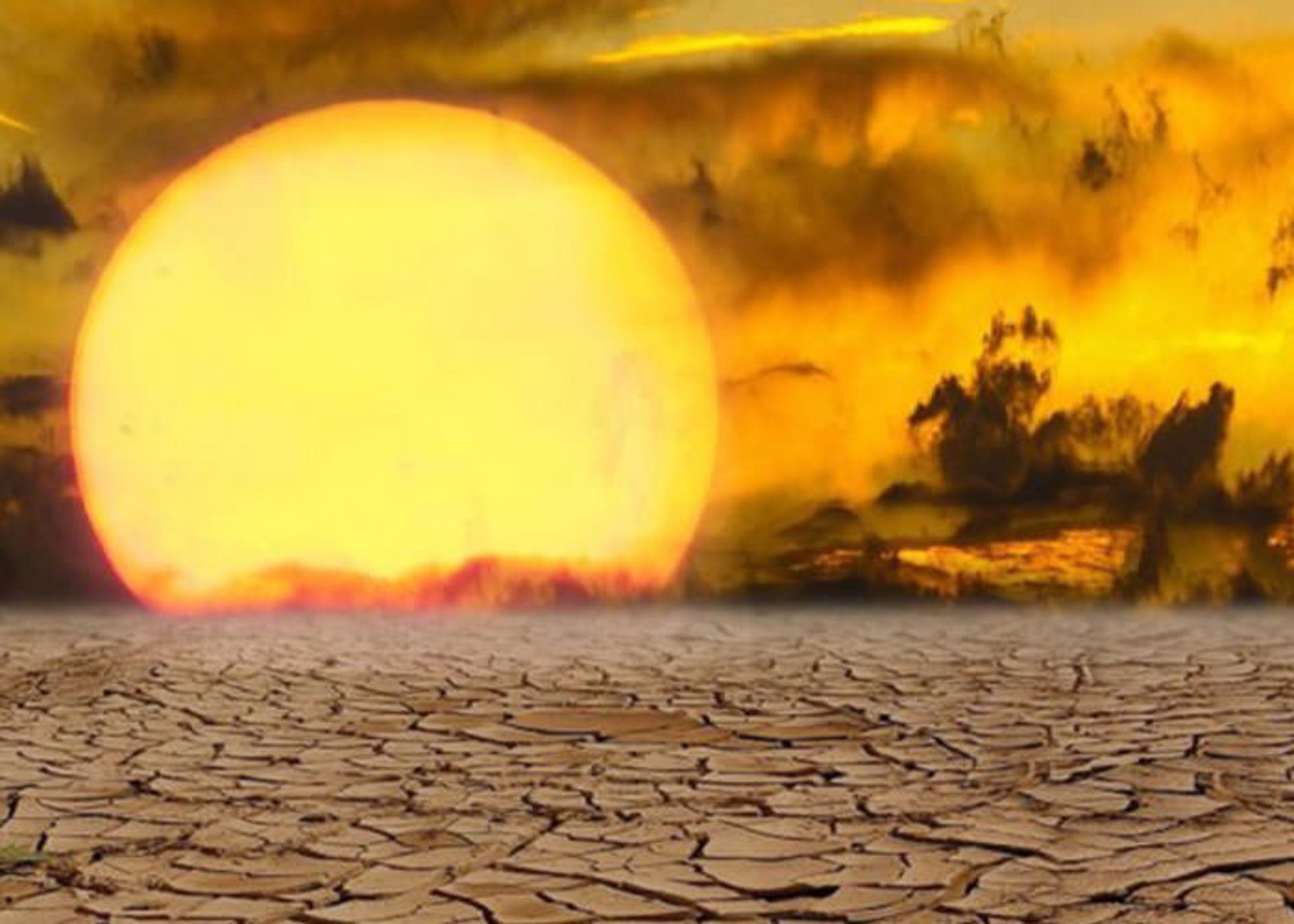 تأثیر تغییرات اقلیمی بر تعاملات زیست‌محیطی 