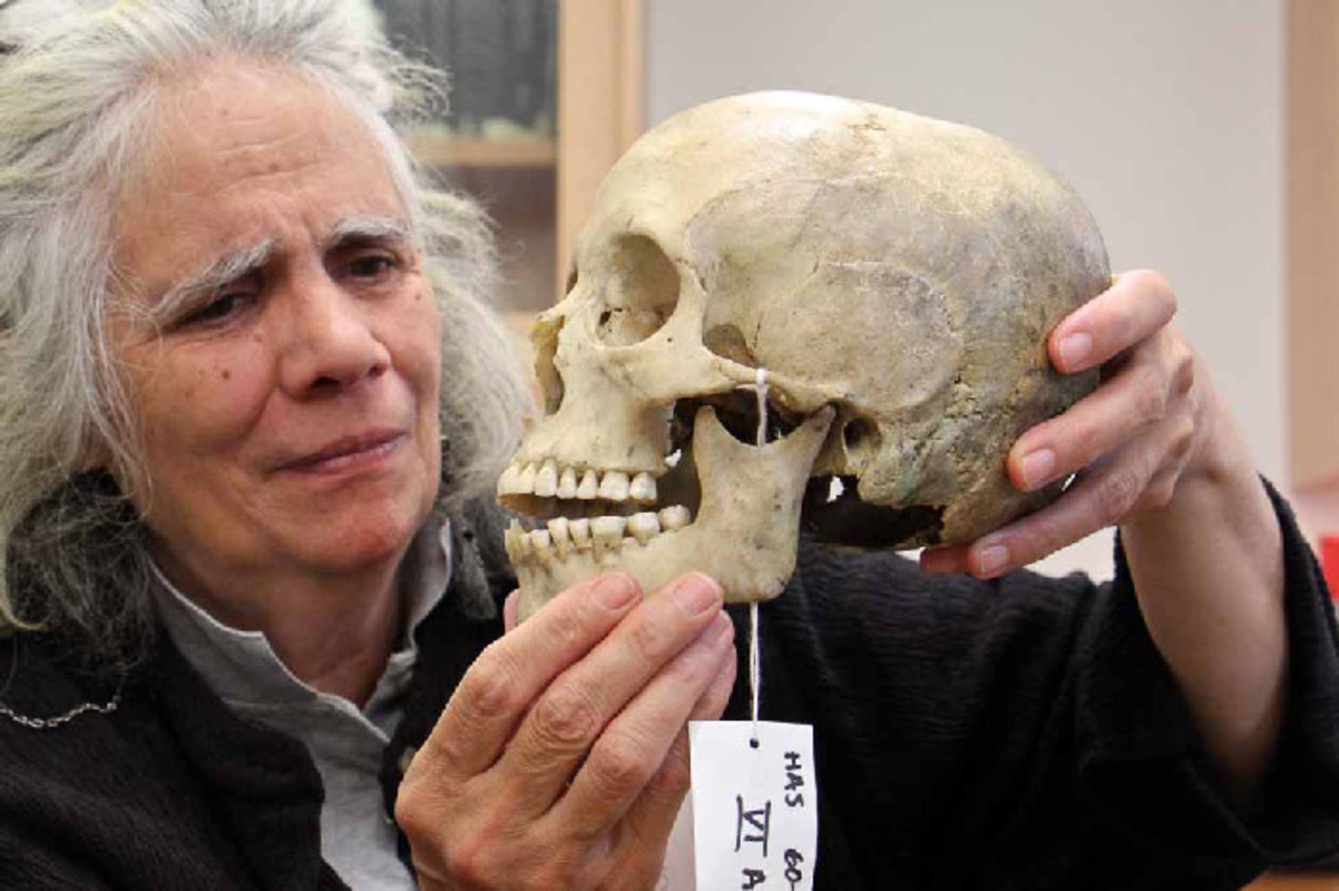 دندان انسان های ما قبل تاریخ