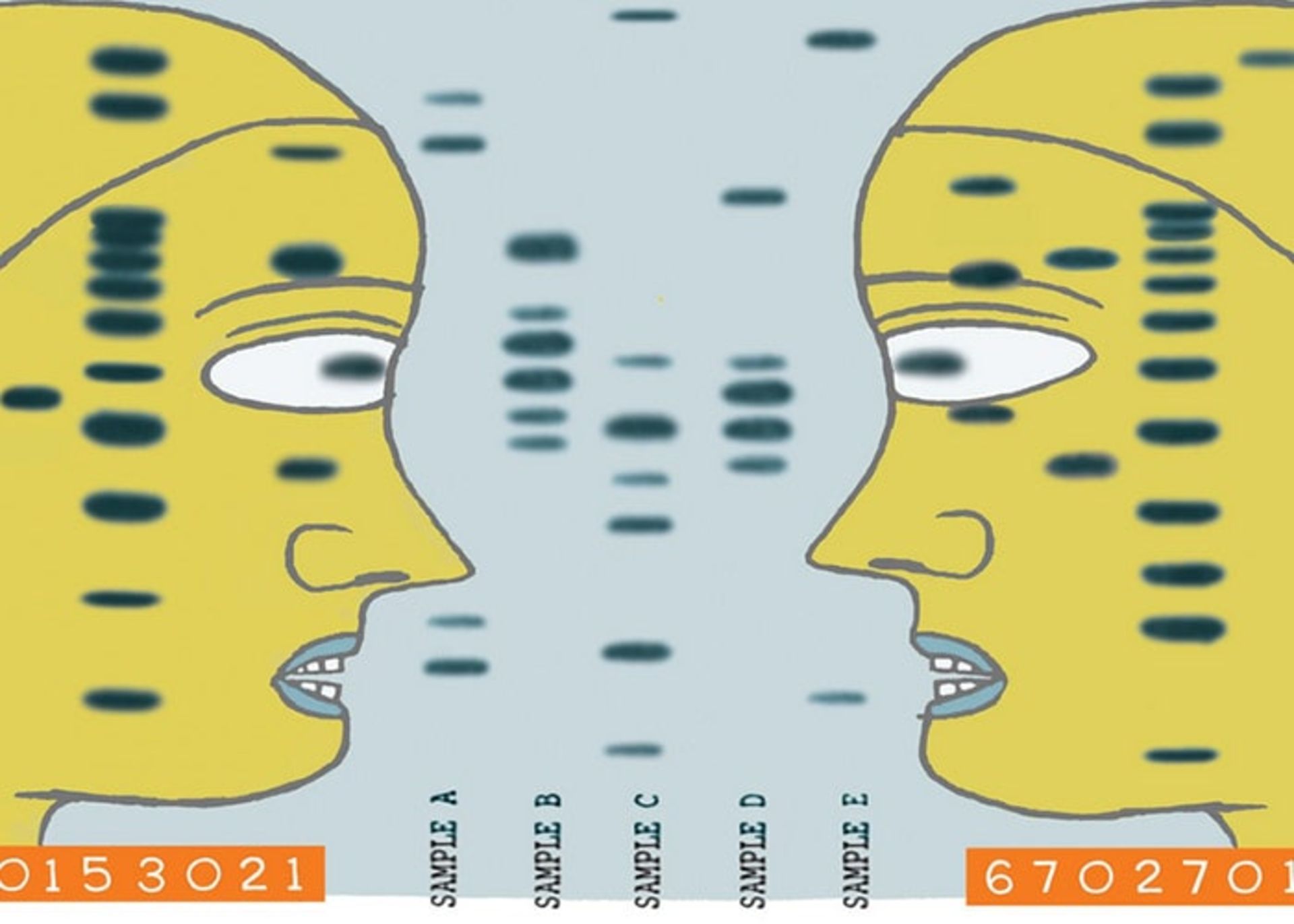 DNA