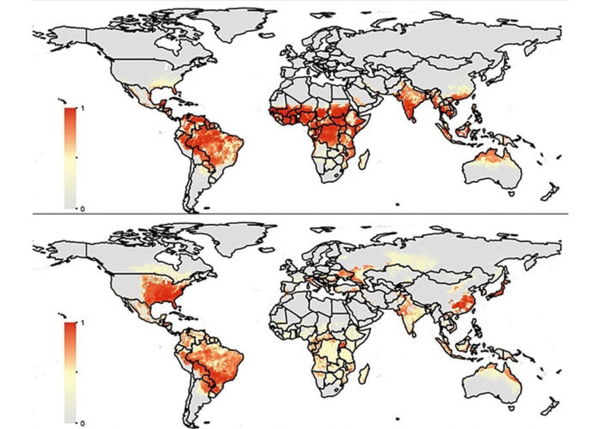 پیش بینی شیوع پشه ها