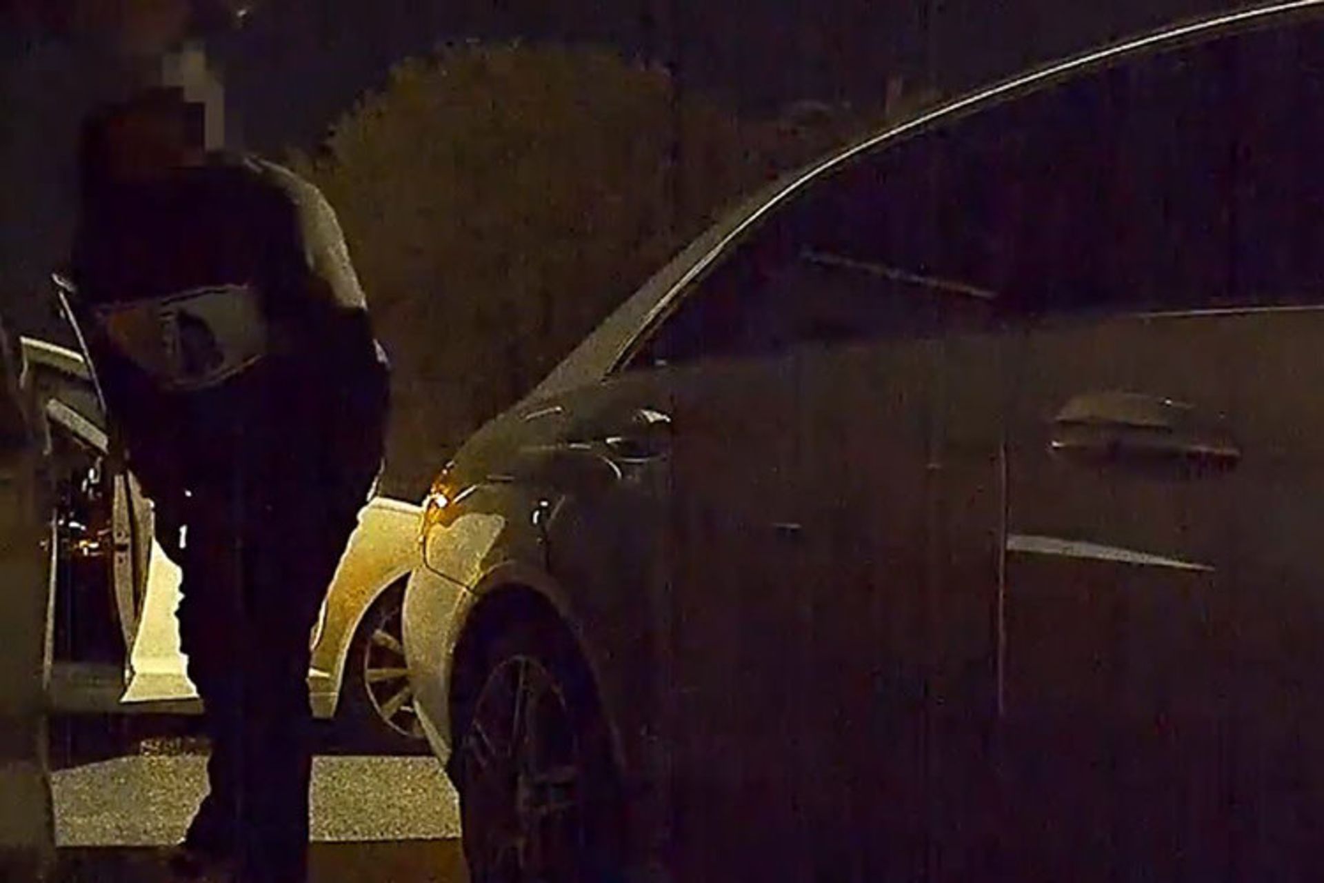 Tesla Sentry Mode / تسلا سنتری مود